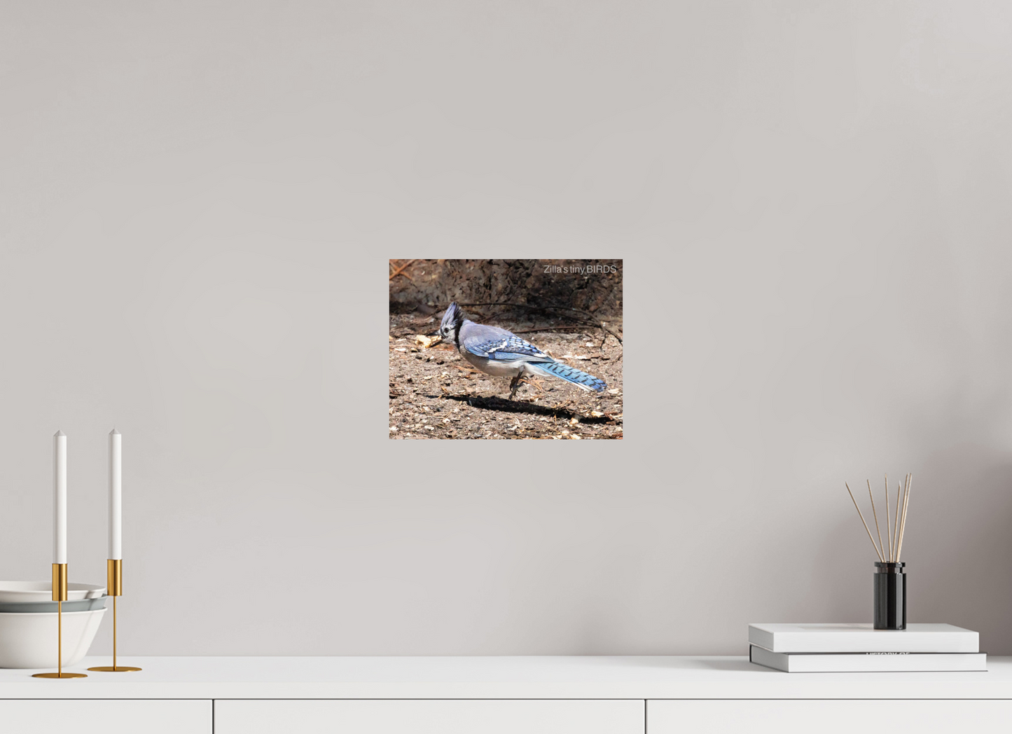 10.4 x 8″, Photo Print On Fuji Crystal DP II Zillas Zoom Image 381