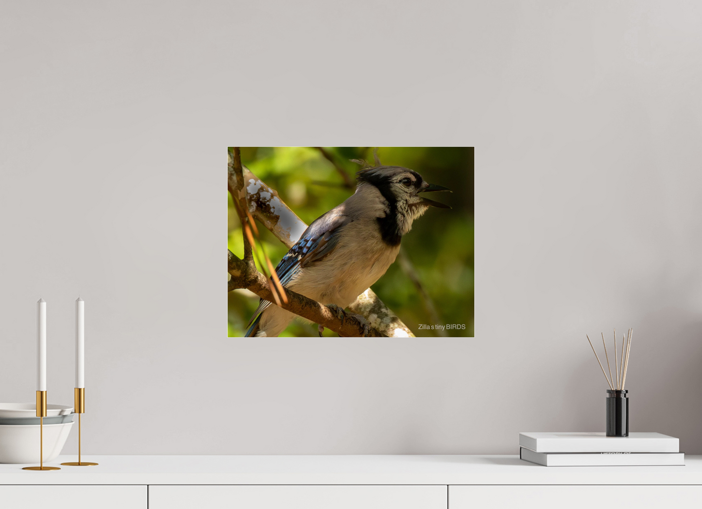 15.6 x 12″, Photo Print Under Acrylic Glass Zillas Zoom Image 378