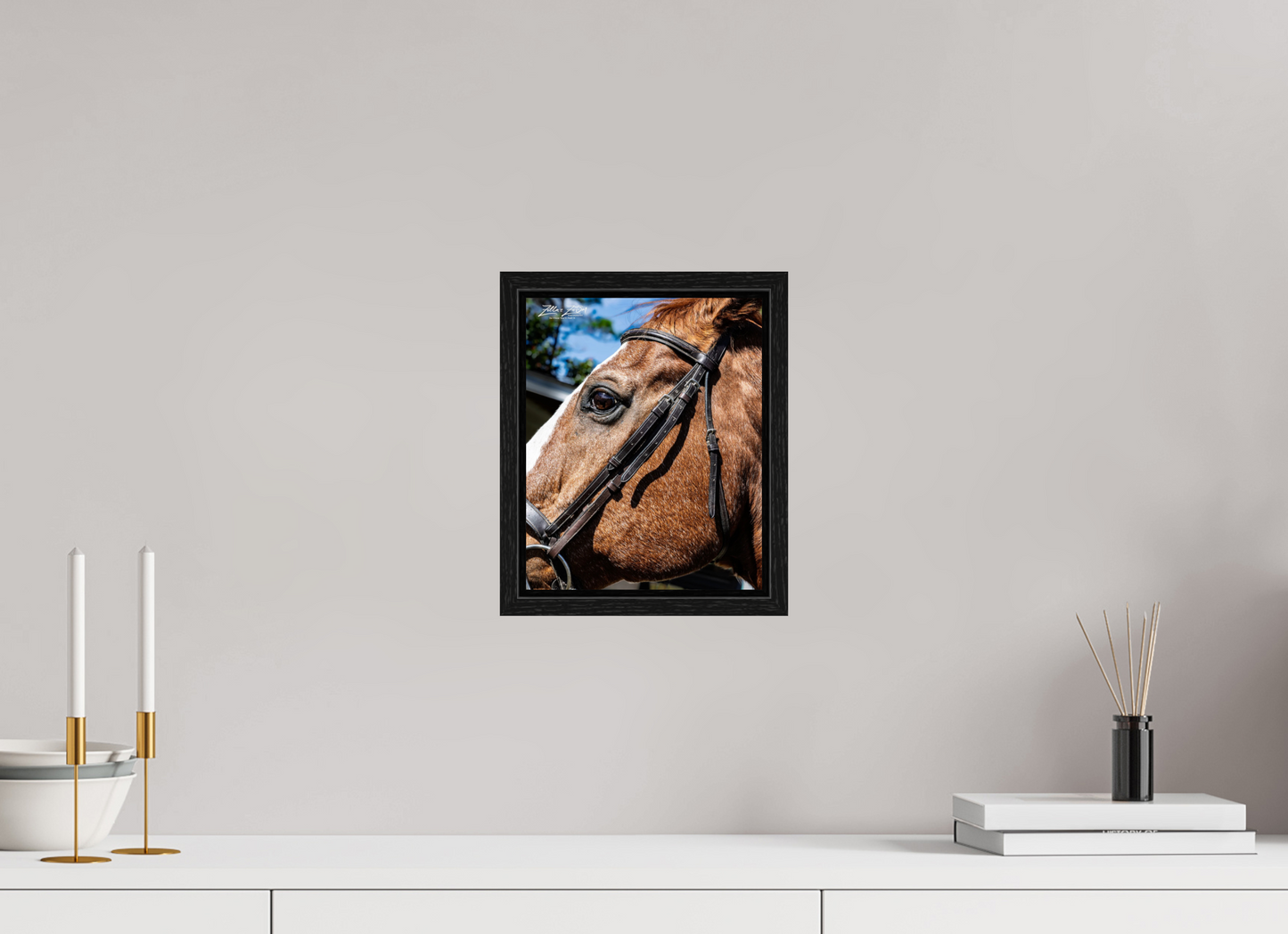 8 x 9.9″, Floater Frame Zillas zoom image 149