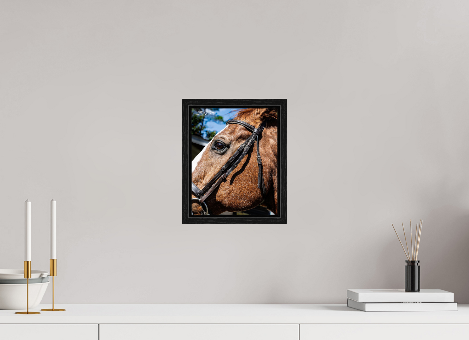 8 x 9.9″, Floater Frame Zillas zoom image 149