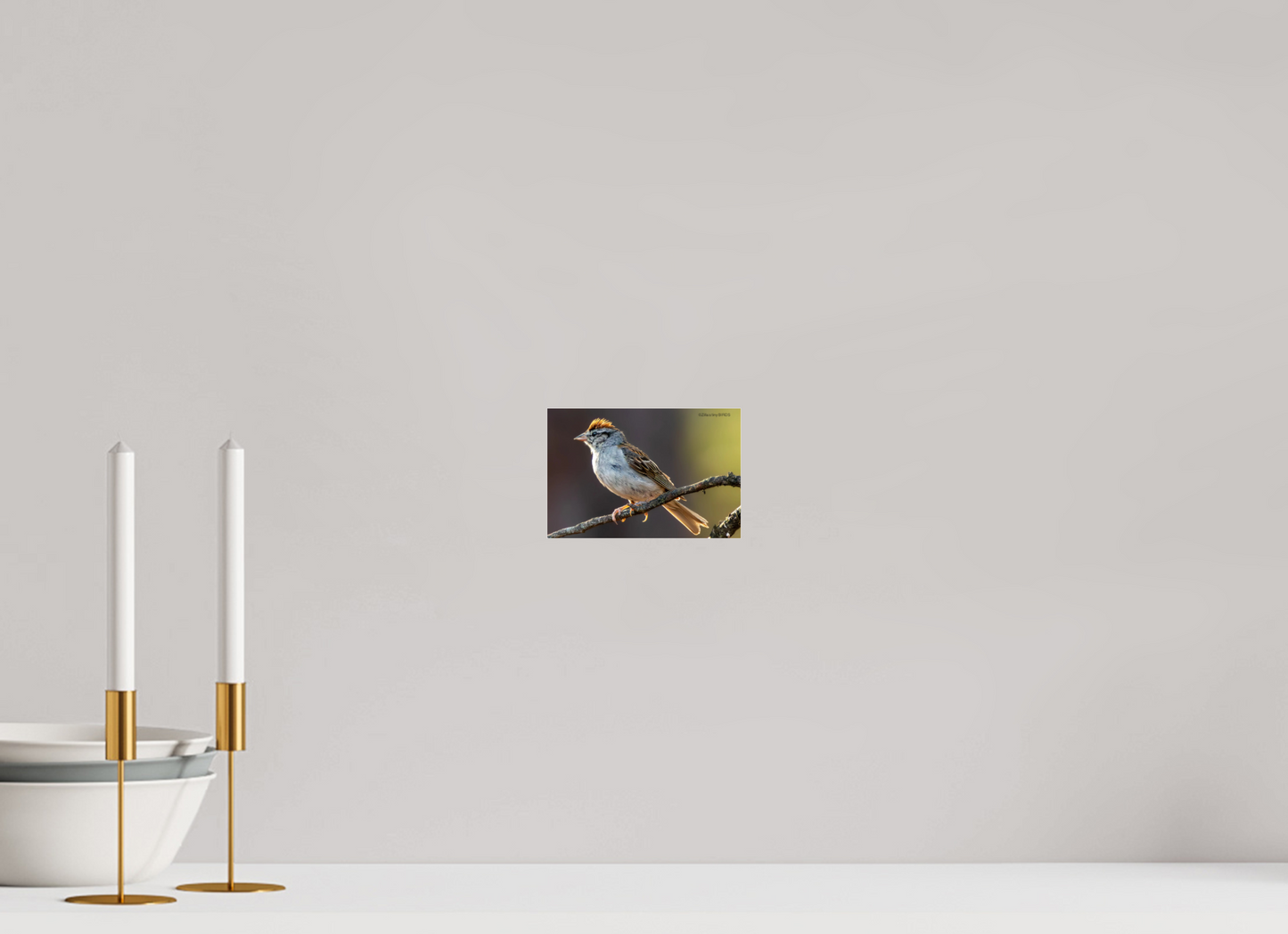 6 x 4″, Photo Print Under Acrylic Glass Zillas Zoom Image 308