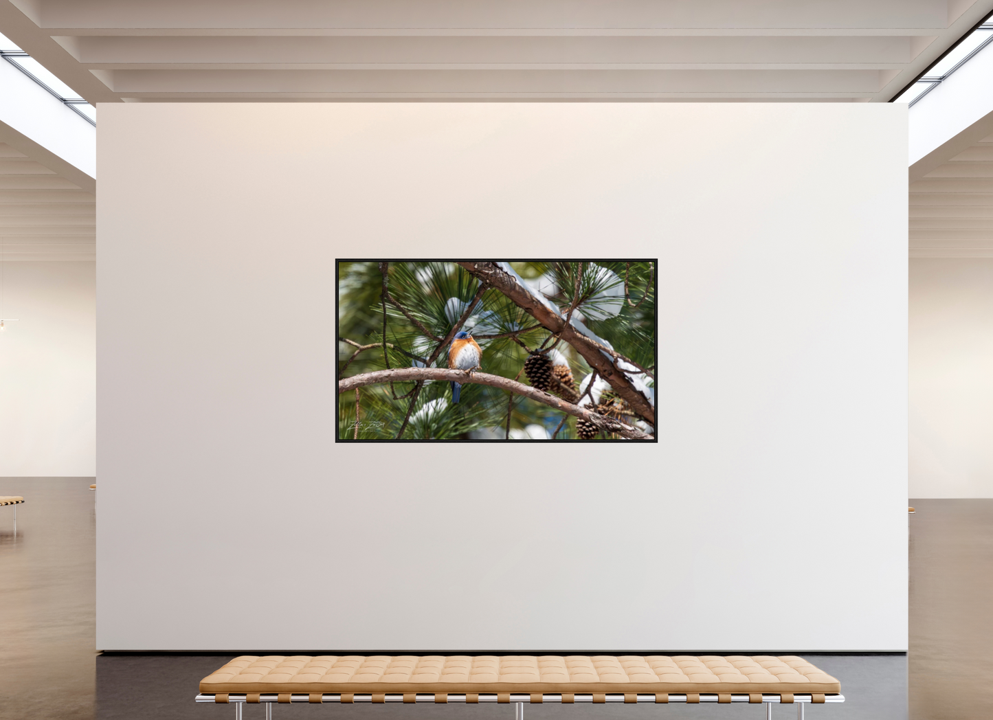 80 x 45″, Floater Frame Zillas Zoom Image 314