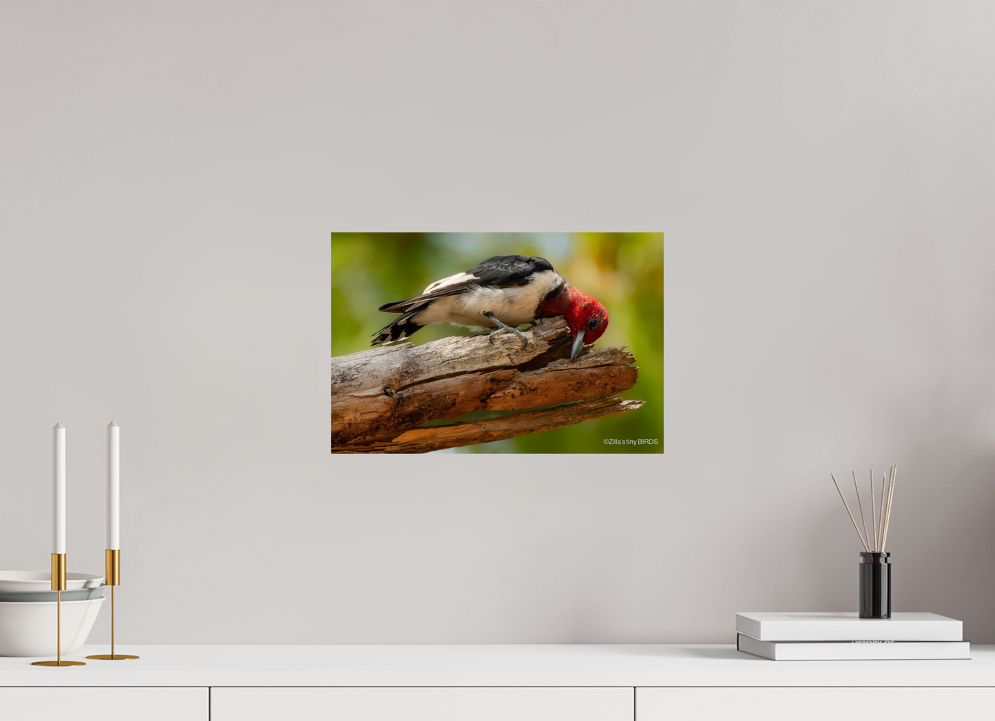 15 x 10″, Photo Print On Fuji Crystal DP II Zillas Zoom Image 329