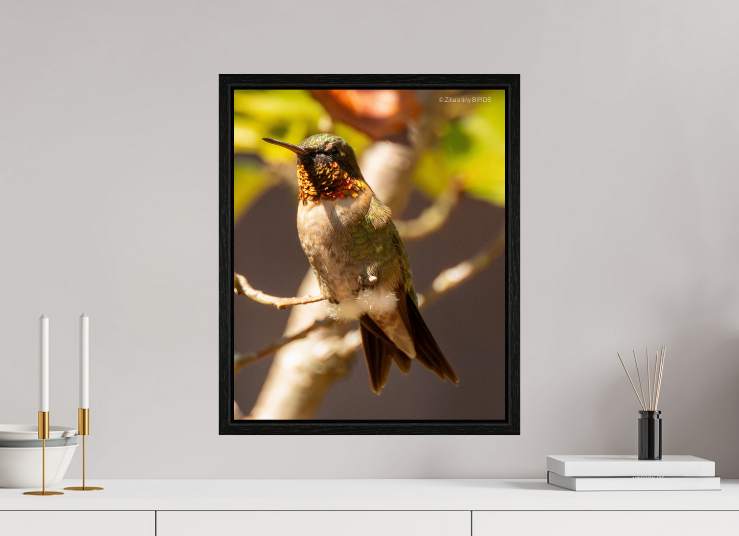16 x 19.5″, Floater Frame Zillas Zoom Image 454