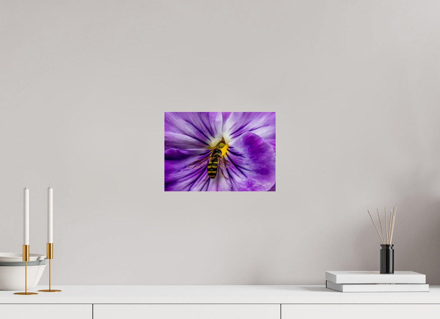 11.2 x 8″, Photo Print Under Acrylic Glass Zillas Zoom Image 103