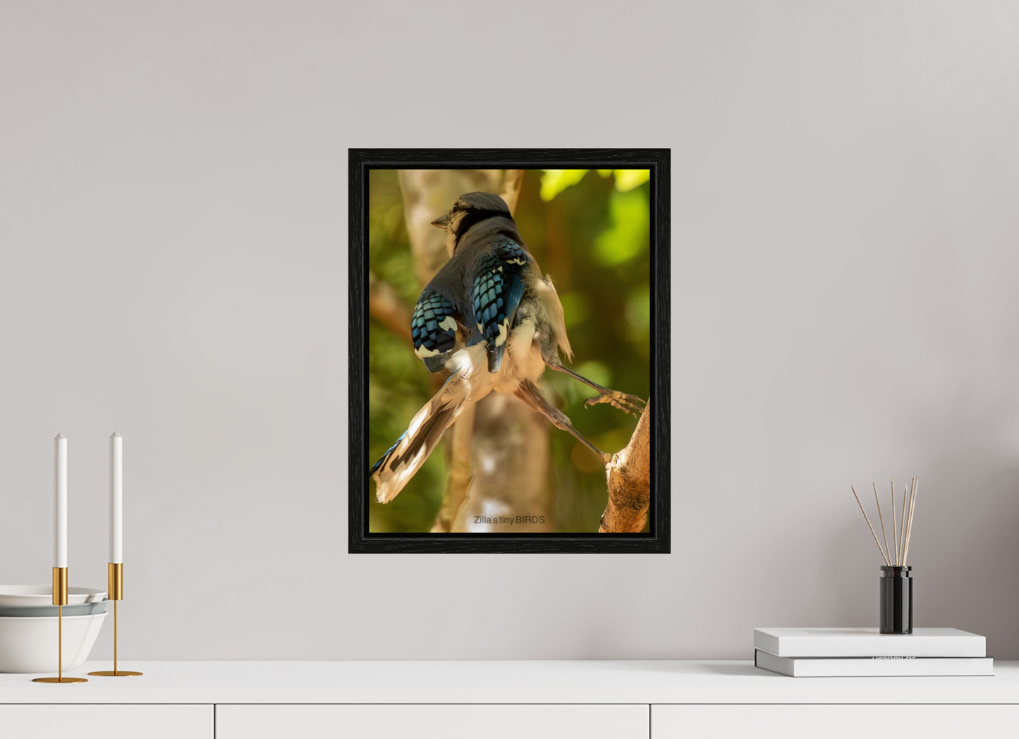 12 x 15.6″, Floater Frame Zillas Zoom Image 518