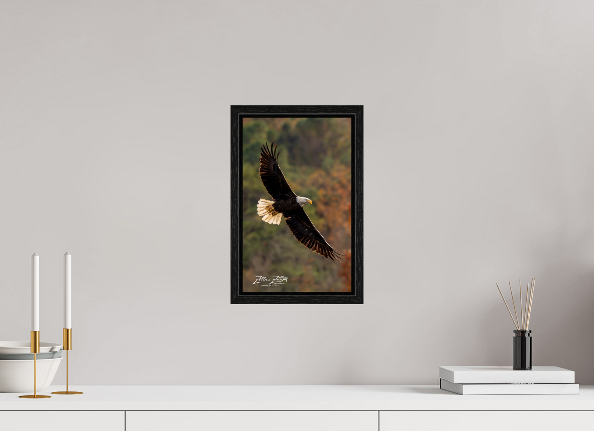 8 x 12.8″, Floater Frame Zillas Zoom Image 417