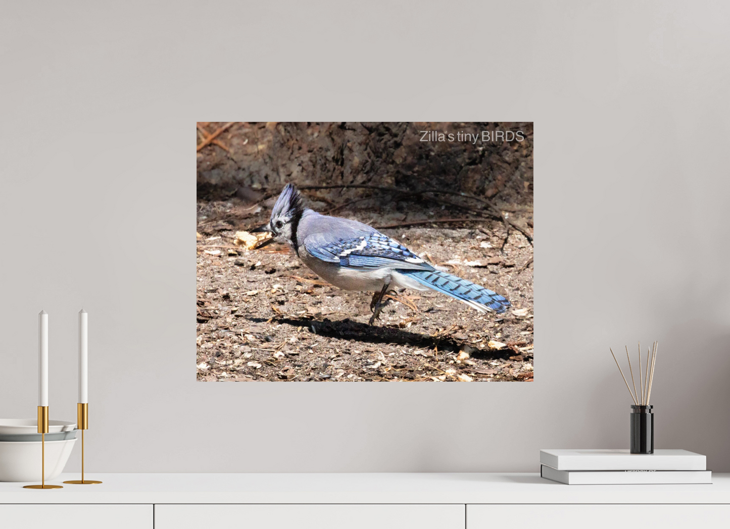20.7 x 16″, Photo Print On Fuji Crystal DP II Zillas Zoom Image 381