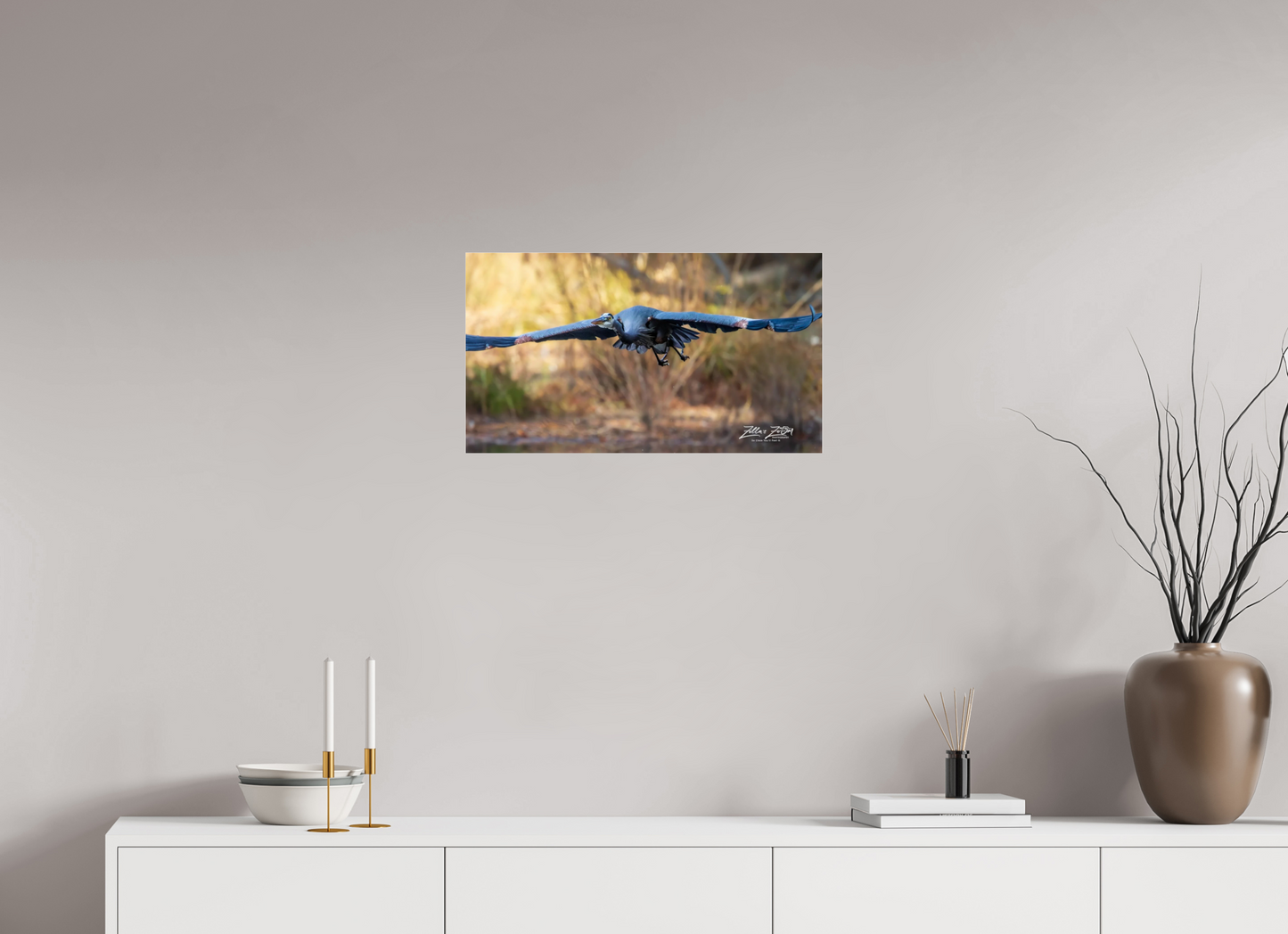 24 x 13.5″, Photo Print Under Acrylic Glass Zillas Zoom Image 296