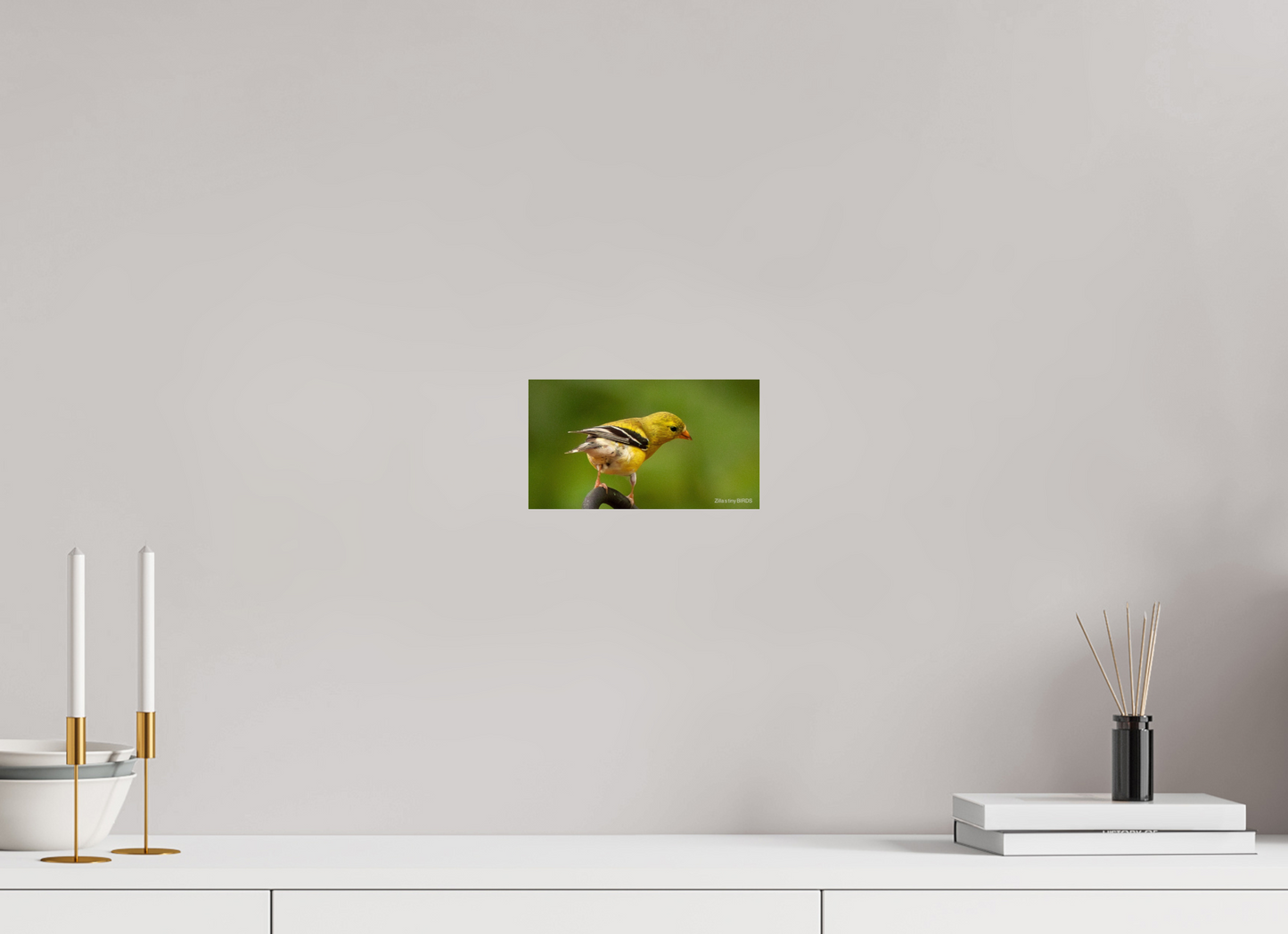 8 x 4.5″, Photo Print Under Acrylic Glass Zillas Zoom Image 380