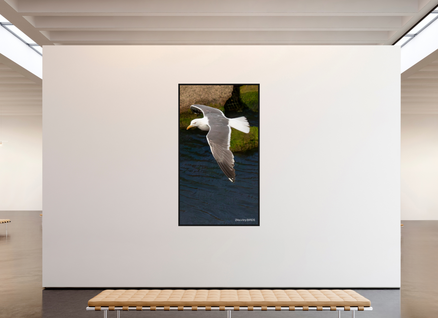 45 x 80″, Floater Frame Zillas Zoom Image 476