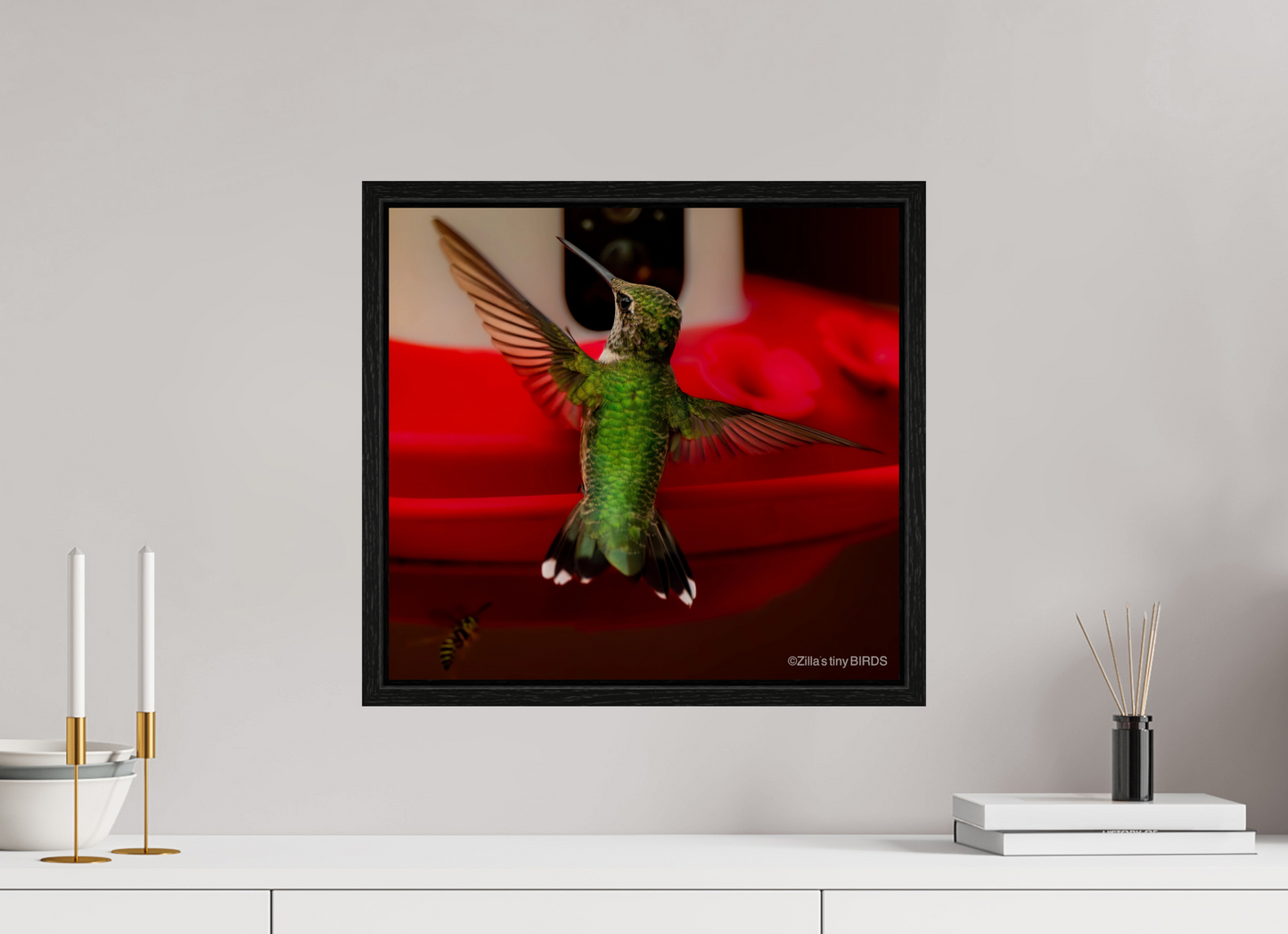 17.3 x 16″, Floater Frame Zillas Zoom Image 364