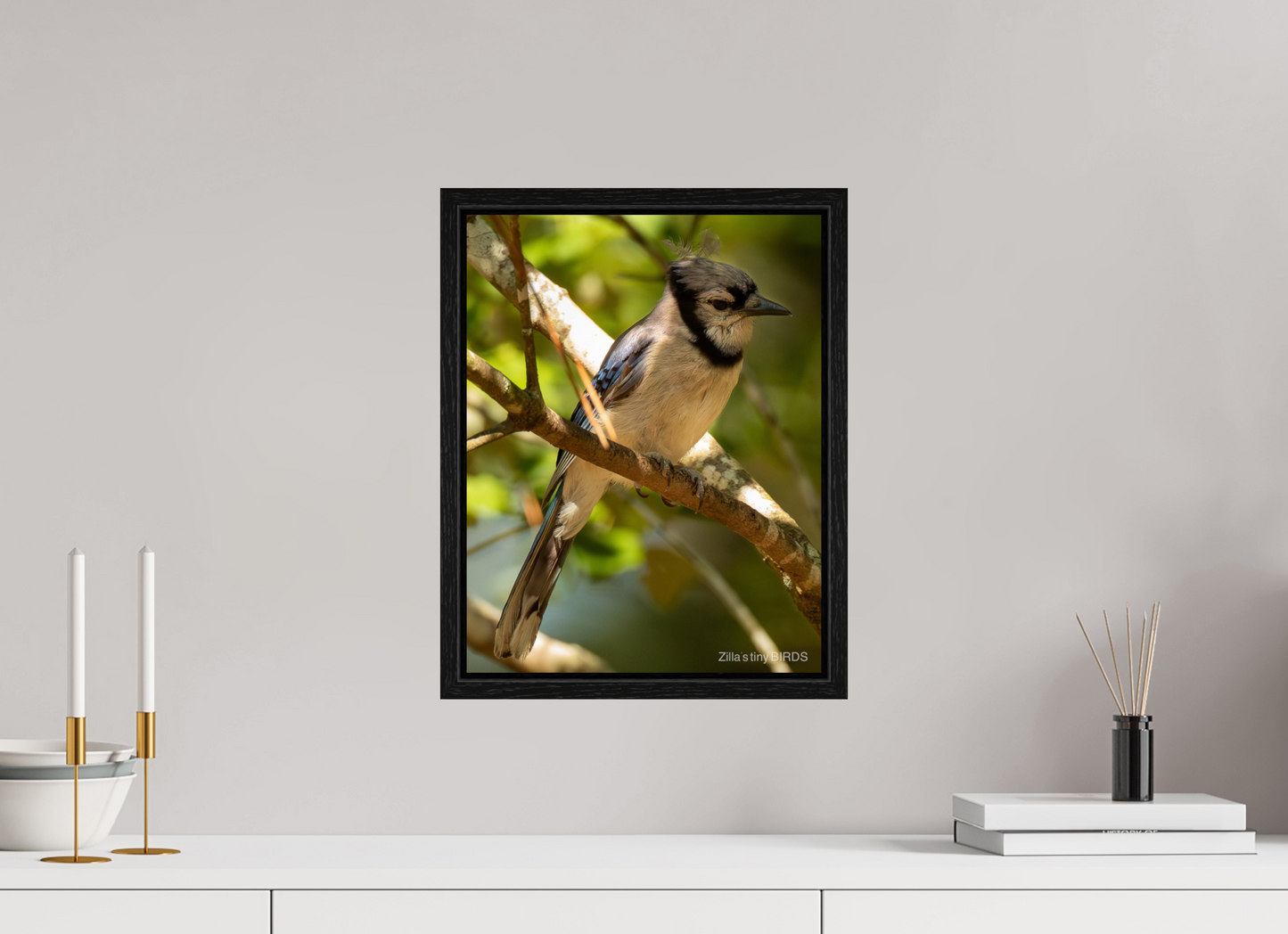 12 x 15.5″, Floater Frame Zillas Zoom Image 519