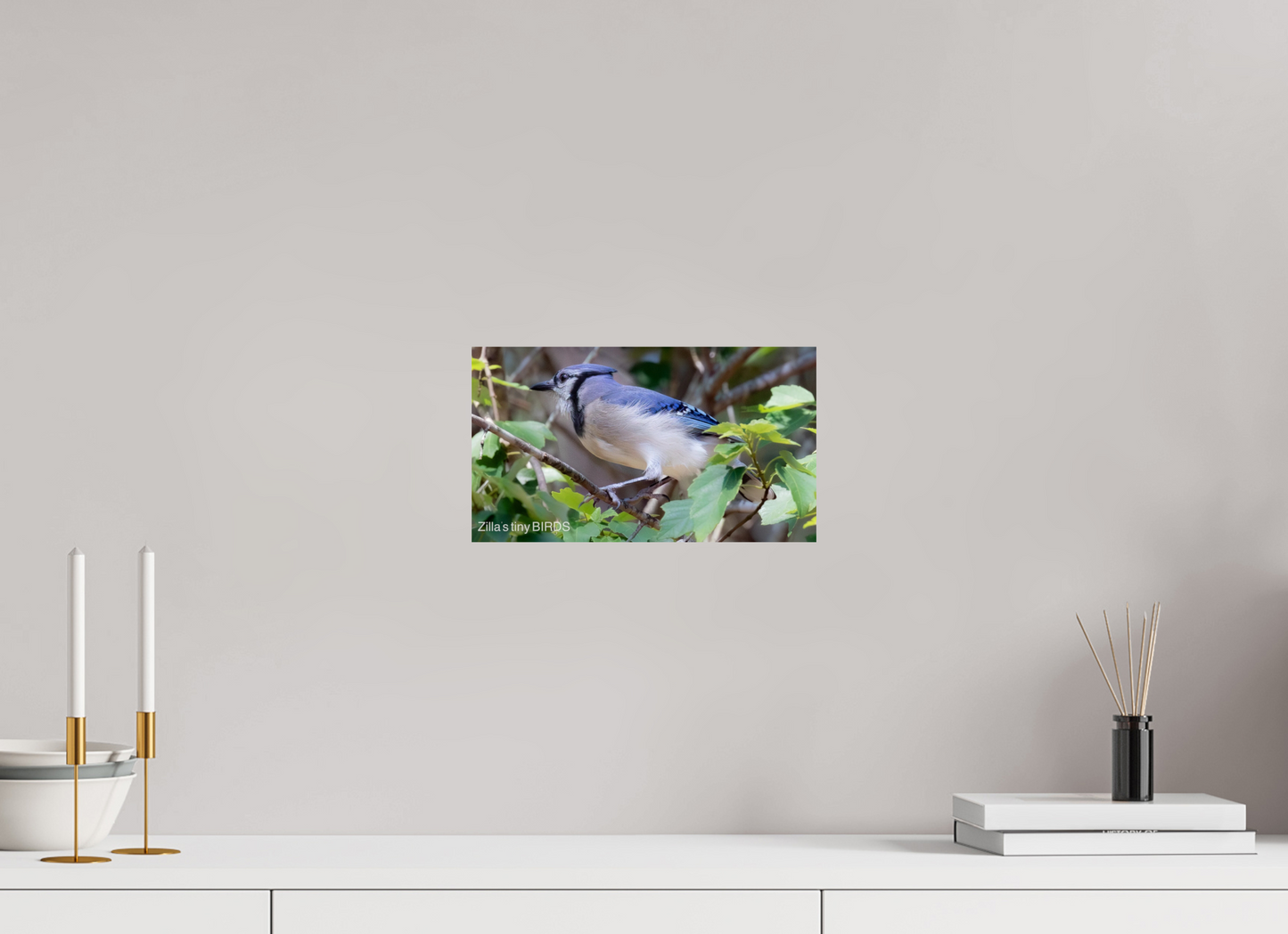 12 x 6.8″, Photo Print On Fuji Crystal DP II Zillas Zoom Image 377