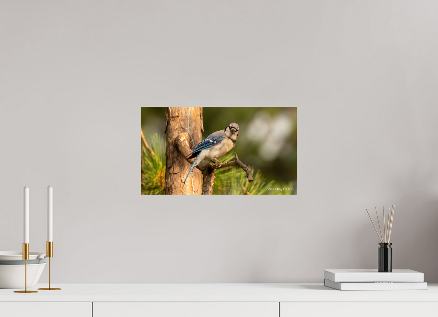 16 x 9″, Photo Print On Fuji Crystal DP II Zillas Zoom Image 385