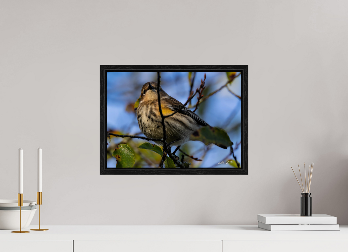 16.8 x 12″, Floater Frame Zillas Zoom Image 356
