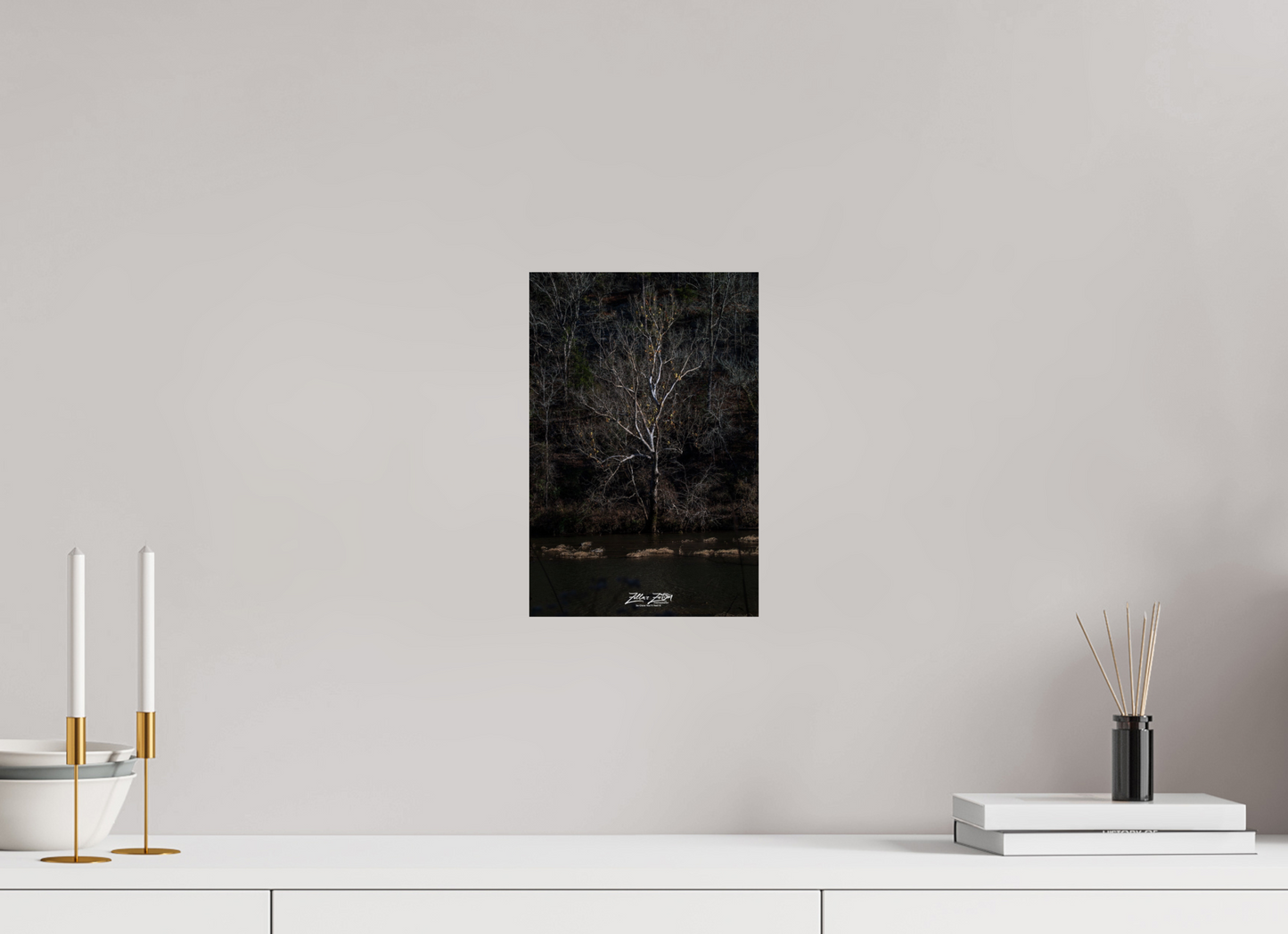 8 x 12″, Photo Print On Fuji Crystal DP II Zillas Zoom Image 255
