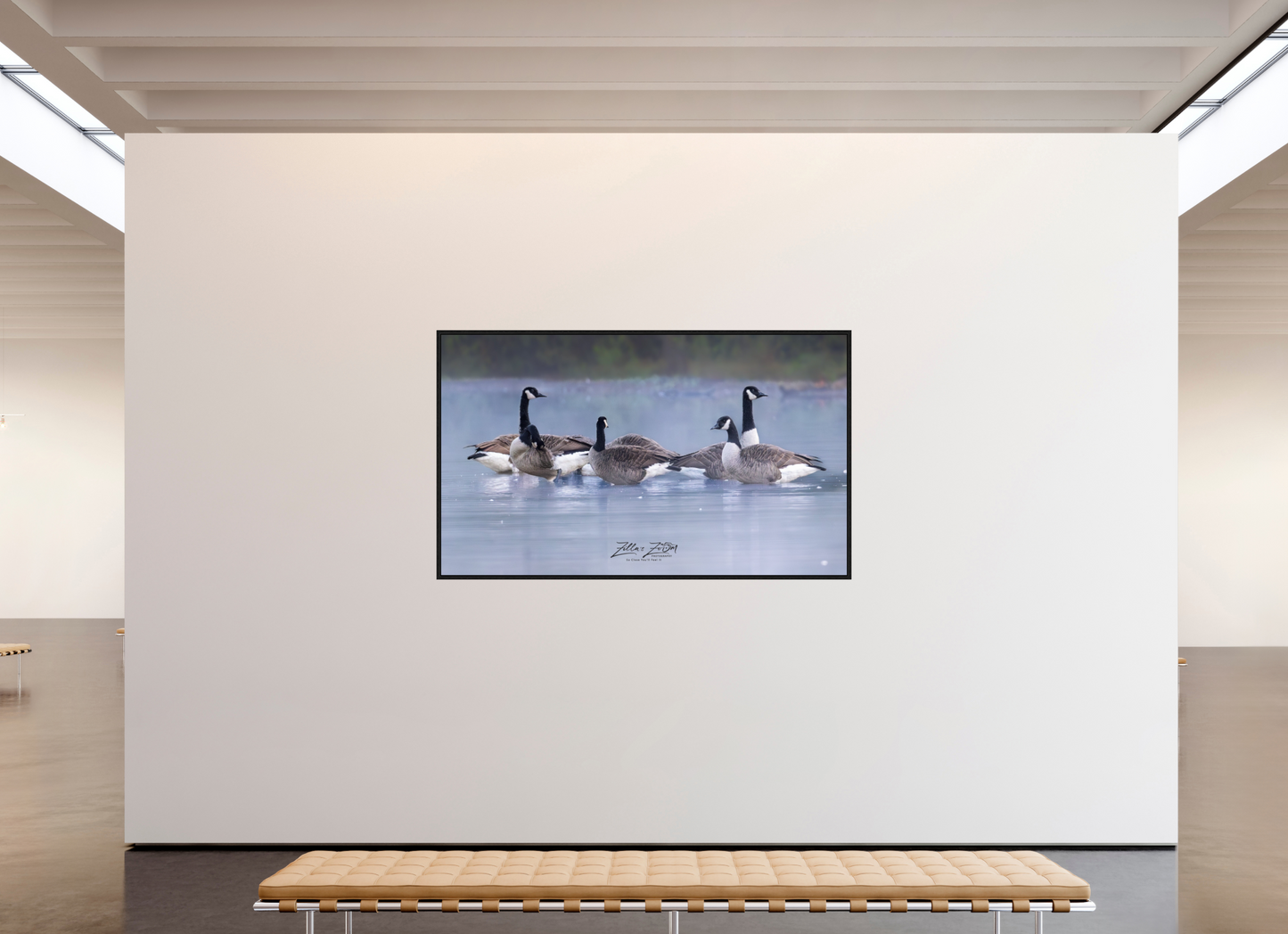 79.3 x 47″, Floater Frame Zillas Zoom Image 313