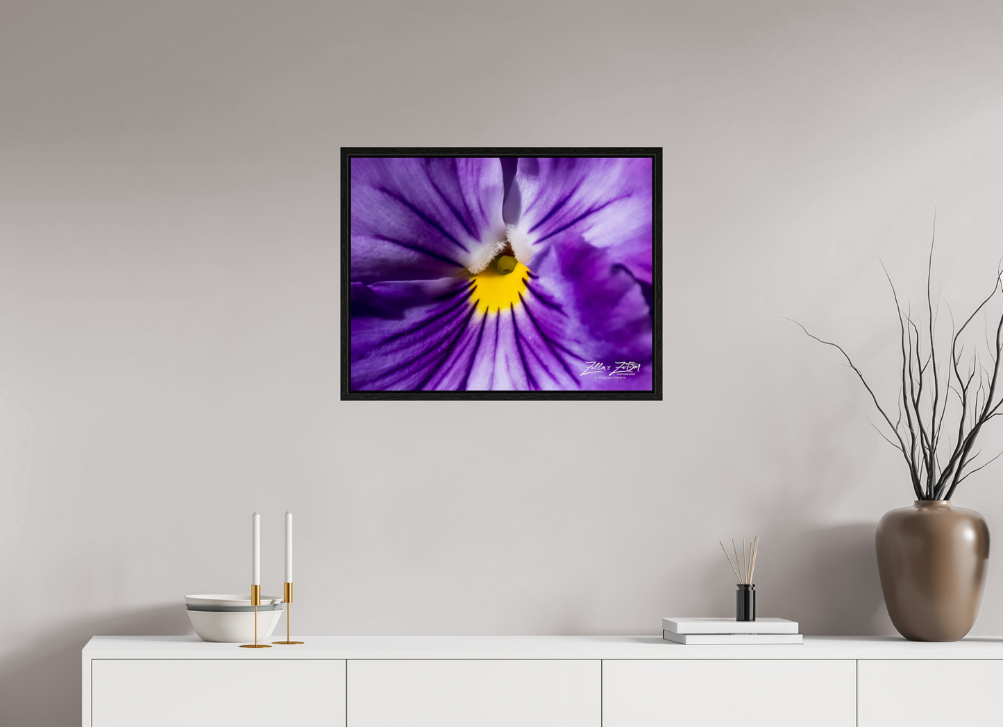 25.9 x 20″, Floater Frame Zillas Zoom Image 105