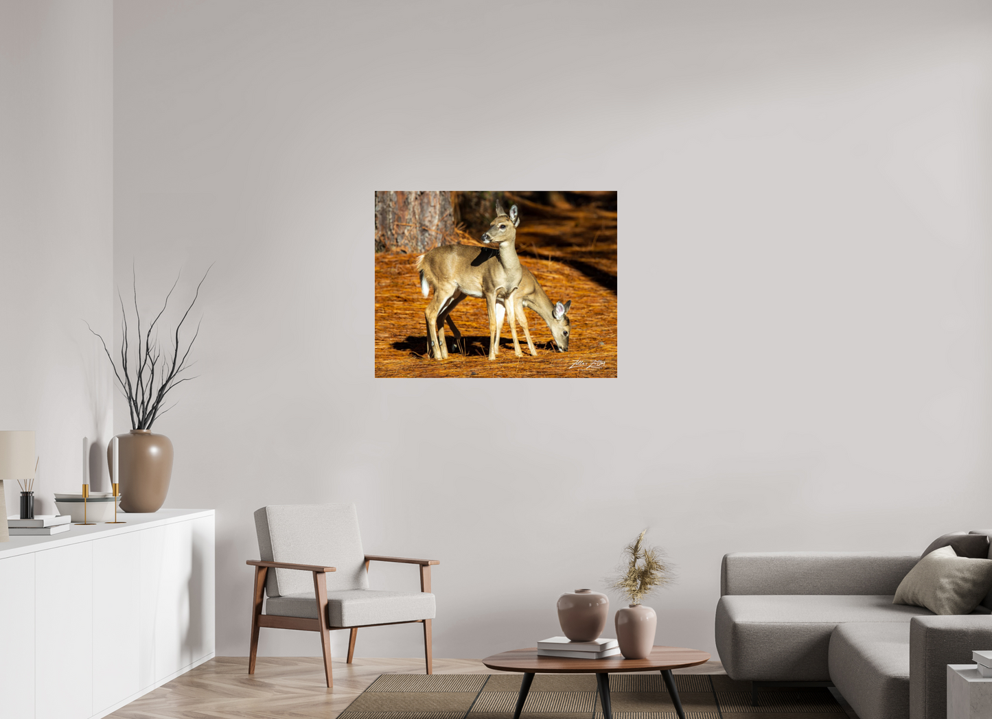 40.1 x 31″, Photo Print Under Acrylic Glass Zillas zoom image 144