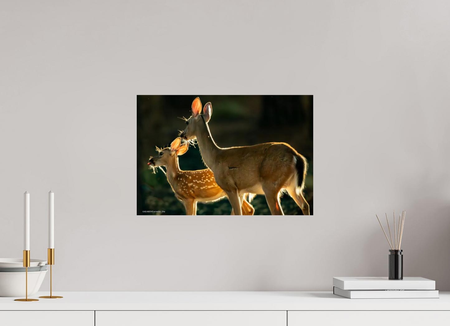 17.6 x 12″, Photo Print On Fuji Crystal DP II Zillas zoom image 146
