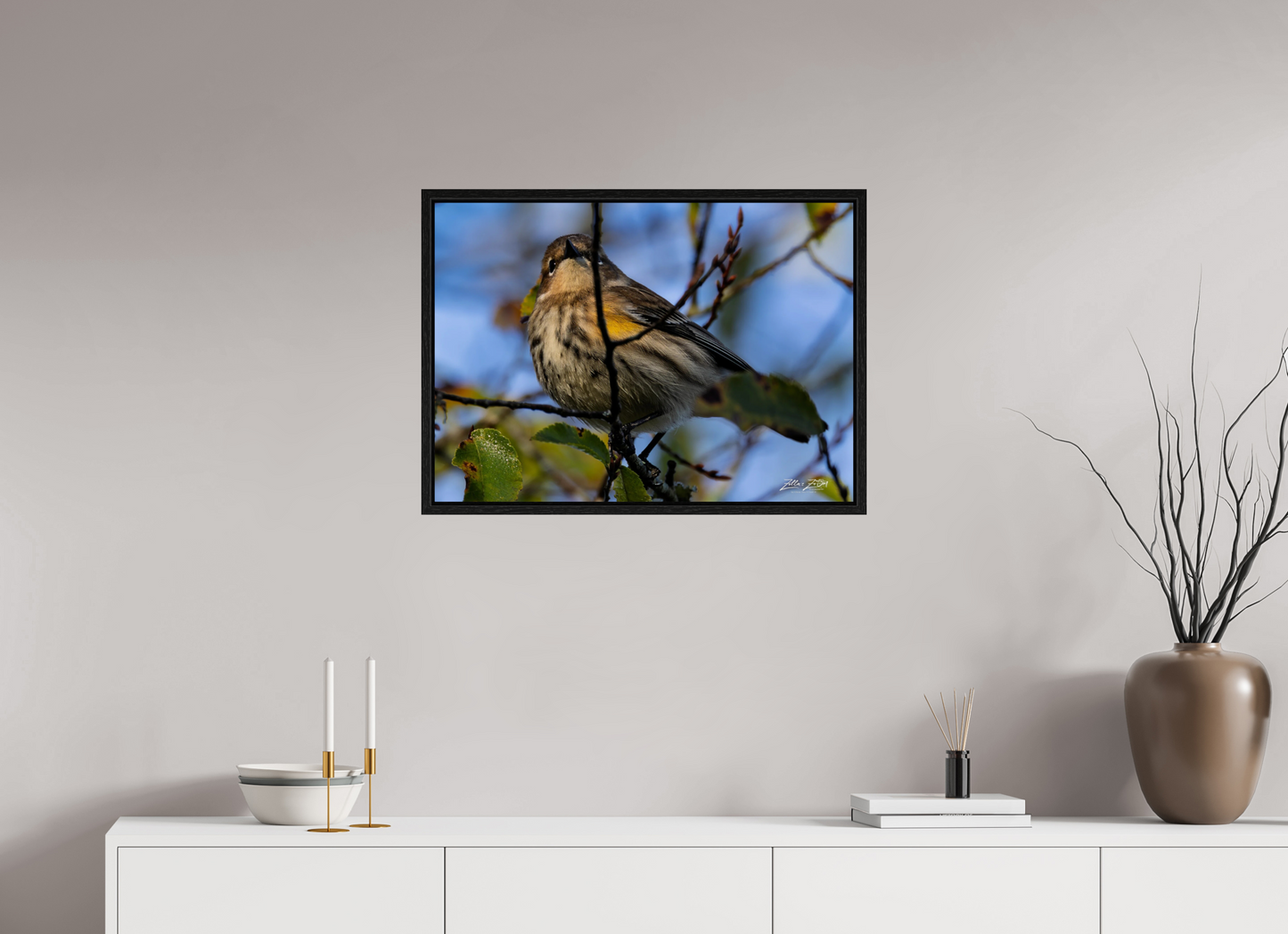 28 x 20″, Floater Frame Zillas Zoom Image 356
