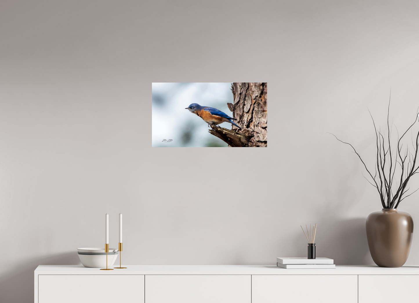 24 x 13.5″, Photo Print On Fuji Crystal DP II Zillas Zoom Image 346
