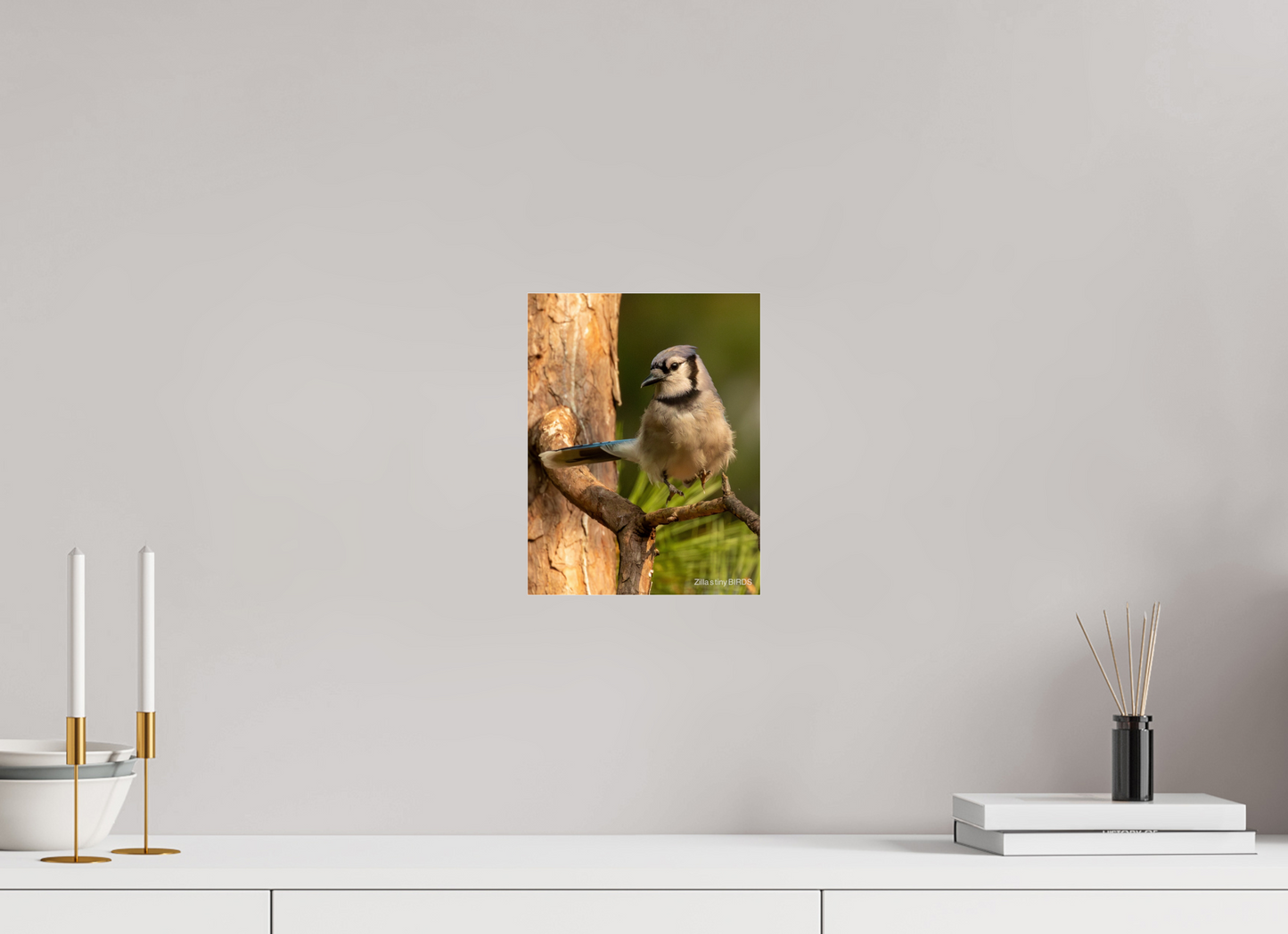 8 x 10.4″, Photo Print Under Acrylic Glass Zillas Zoom Image 520