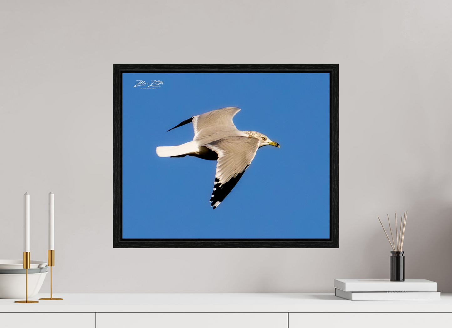 20 x 16″, Floater Frame Zillas Zoom Image 266