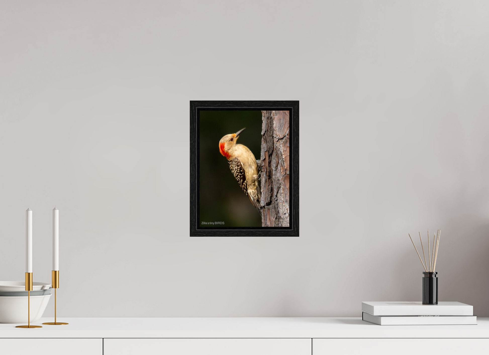 8 x 10.4″, Floater Frame Zillas Zoom Image 514