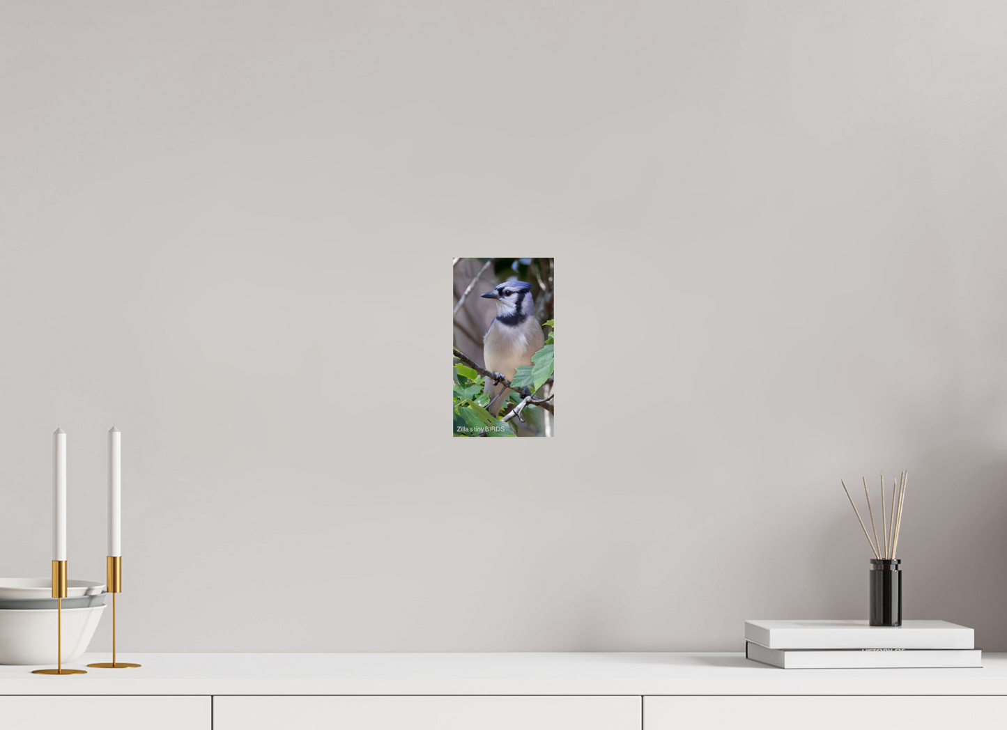 4.5 x 8″, Photo Print On Fuji Crystal DP II Zillas Zoom Image 483