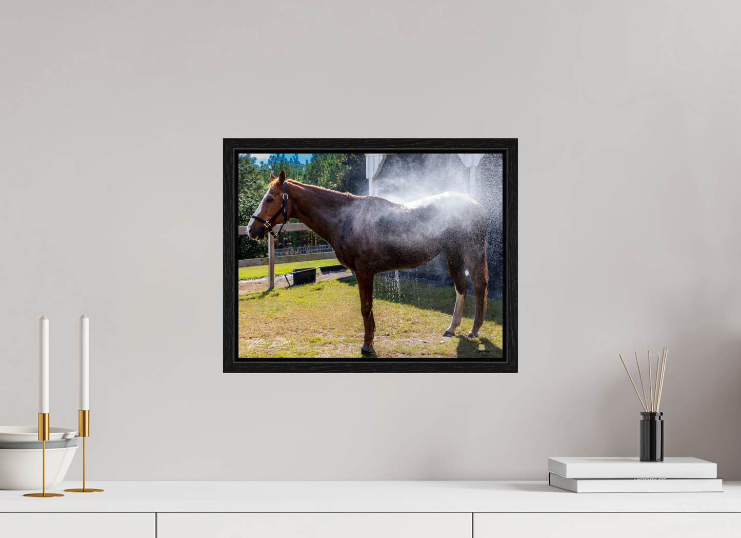 15.6 x 12″, Floater Frame Zillas zoom image 145
