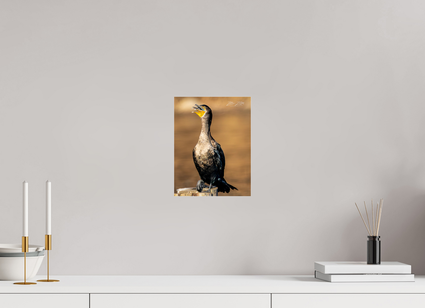 8 x 10.4″, Photo Print Under Acrylic Glass Zillas Zoom Image 421