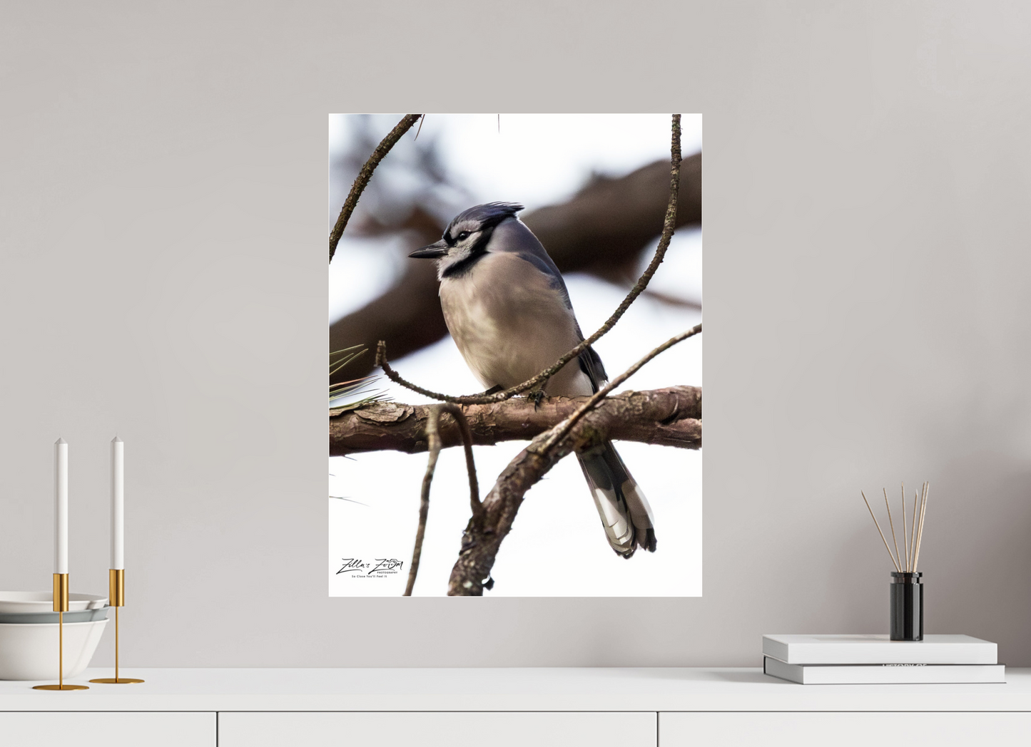 16 x 20.7″, Photo Print Under Acrylic Glass Zillas Zoom Image 455