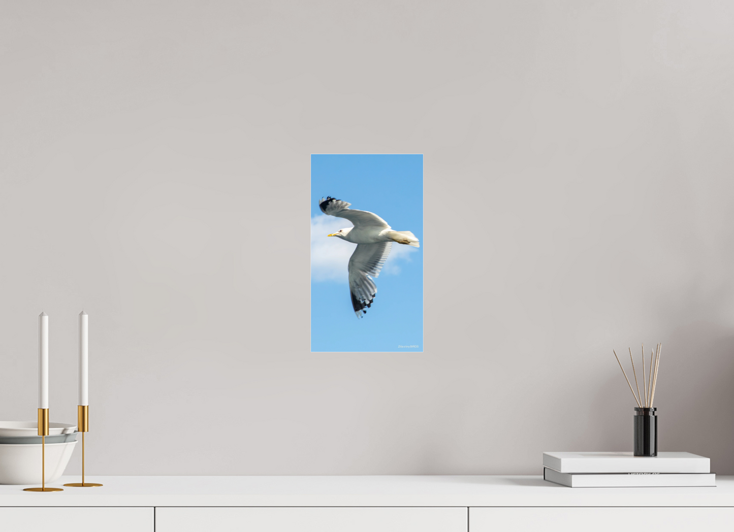 6.8 x 12″, Photo Print Under Acrylic Glass Zillas Zoom Image 466