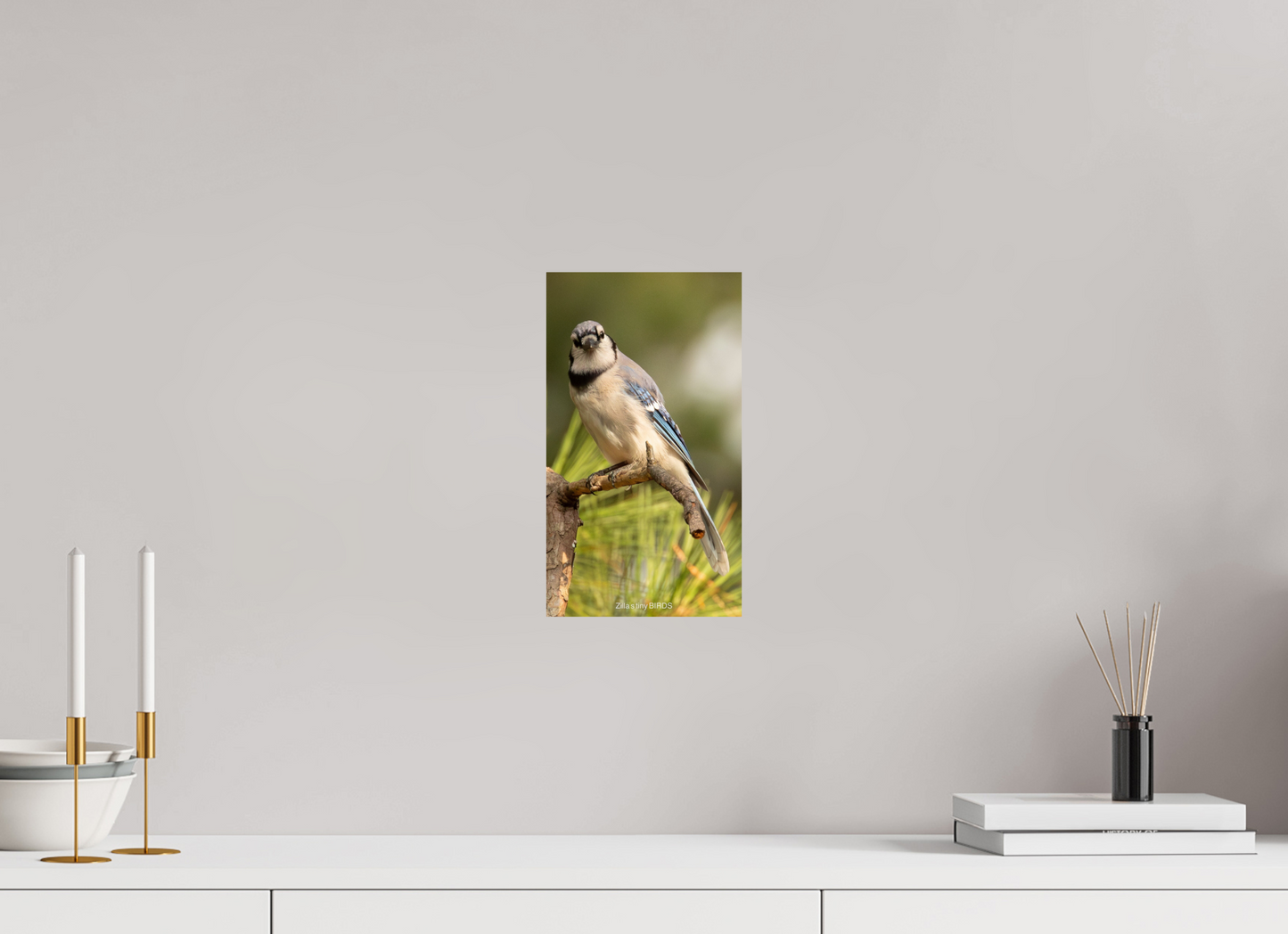 6.8 x 12″, Photo Print On Fuji Crystal DP II Zillas Zoom Image 494