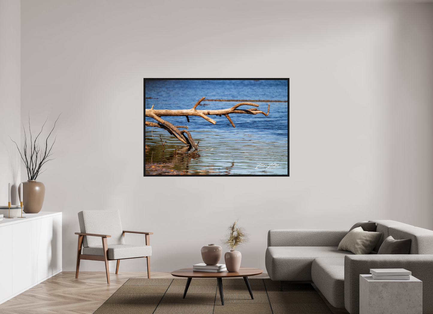 66 x 44″, Floater Frame Zillas Zoom Image 213