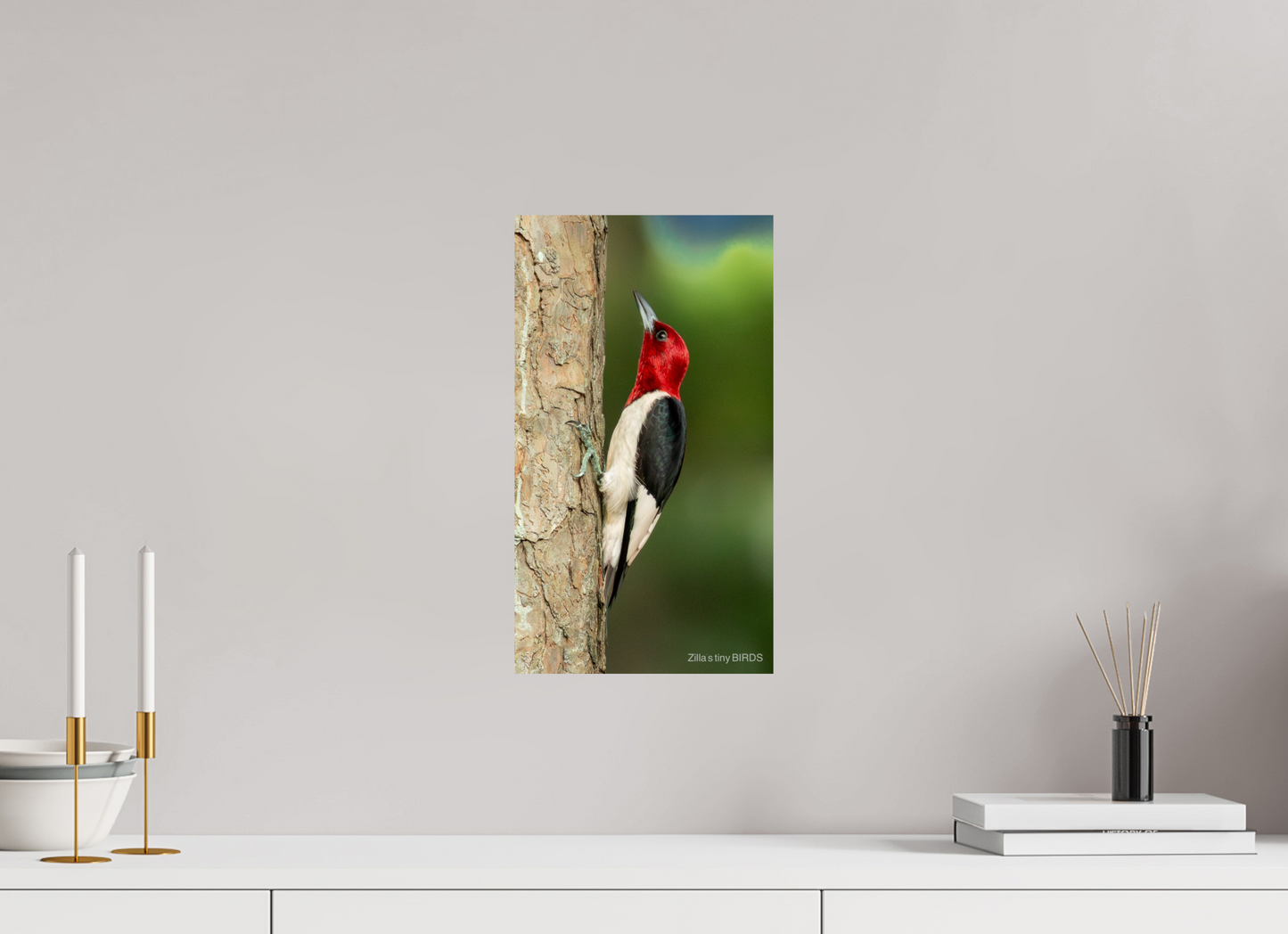 9 x 16″, Photo Print On Fuji Crystal DP II Zillas Zoom Image 492
