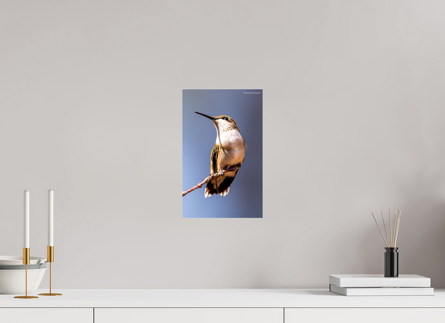 8 x 12.8″, Photo Print Under Acrylic Glass Zillas Zoom Image 460