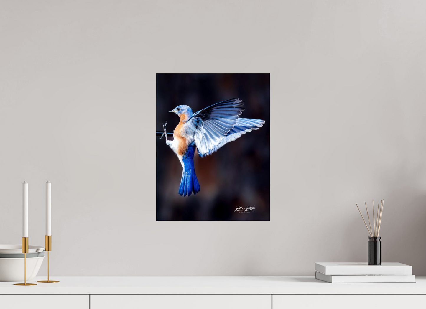 12 x 15.5″, Photo Print On Fuji Crystal DP II Zillas Zoom Image 513