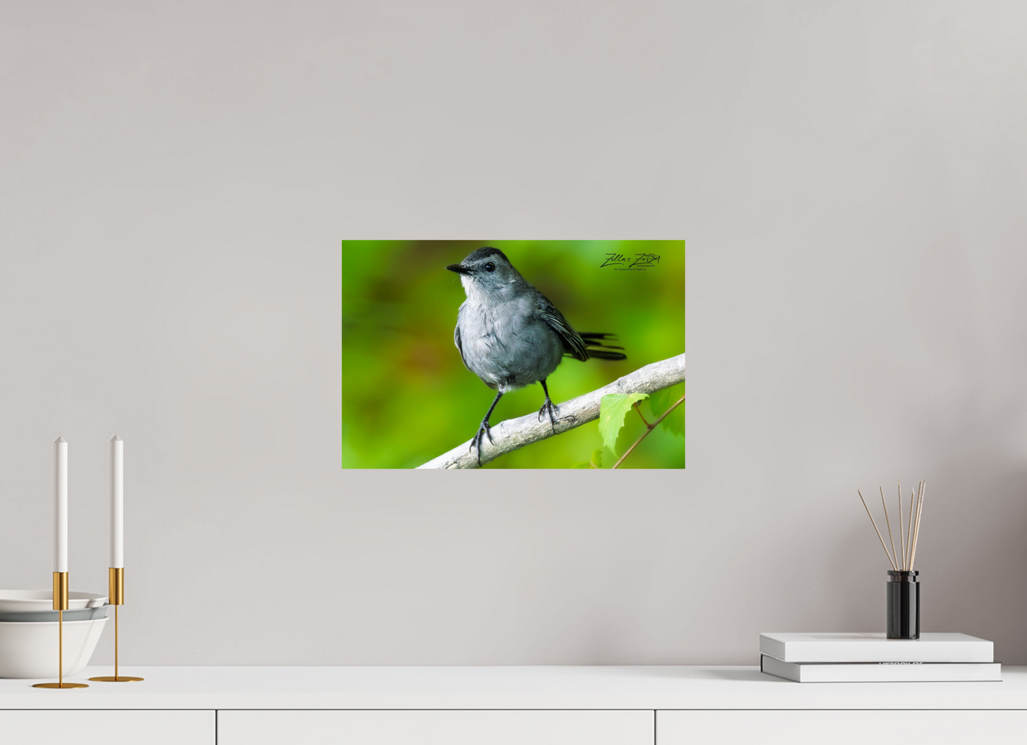 15 x 10″, Photo Print On Fuji Crystal DP II Zillas Zoom Image 299