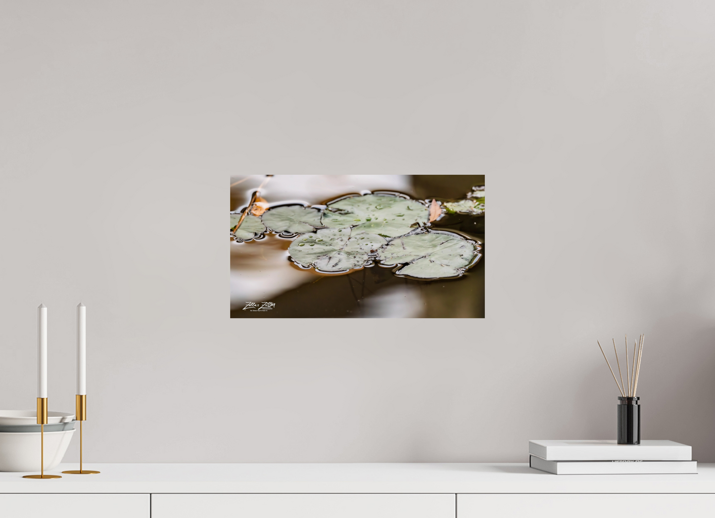 16 x 9″, Photo Print On Fuji Crystal DP II Zillas Zoom Image 89