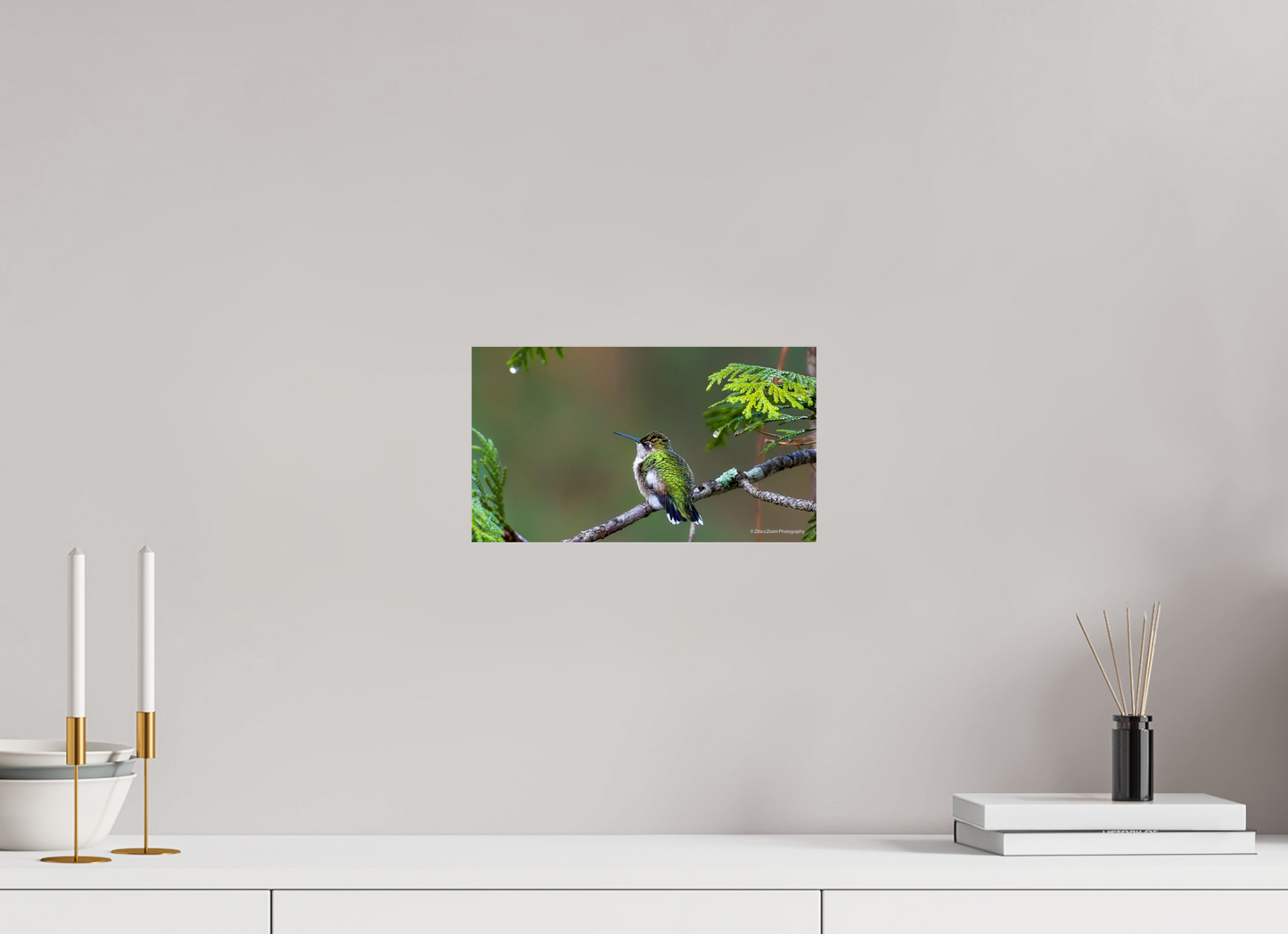 12 x 6.8″, Photo Print On Fuji Crystal DP II Zillas Zoom Image 309