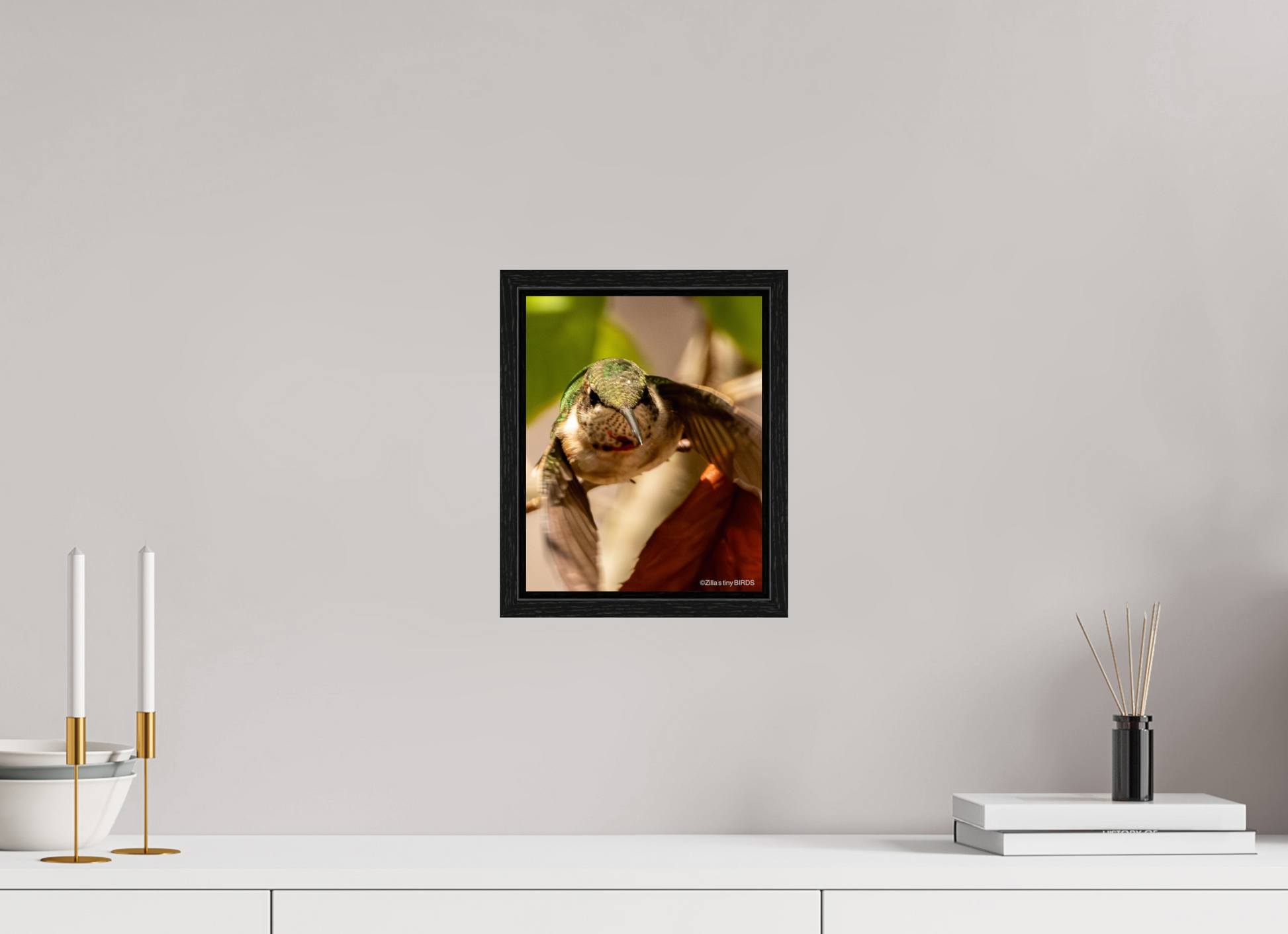 8 x 10″, Floater Frame Zillas Zoom Image 504
