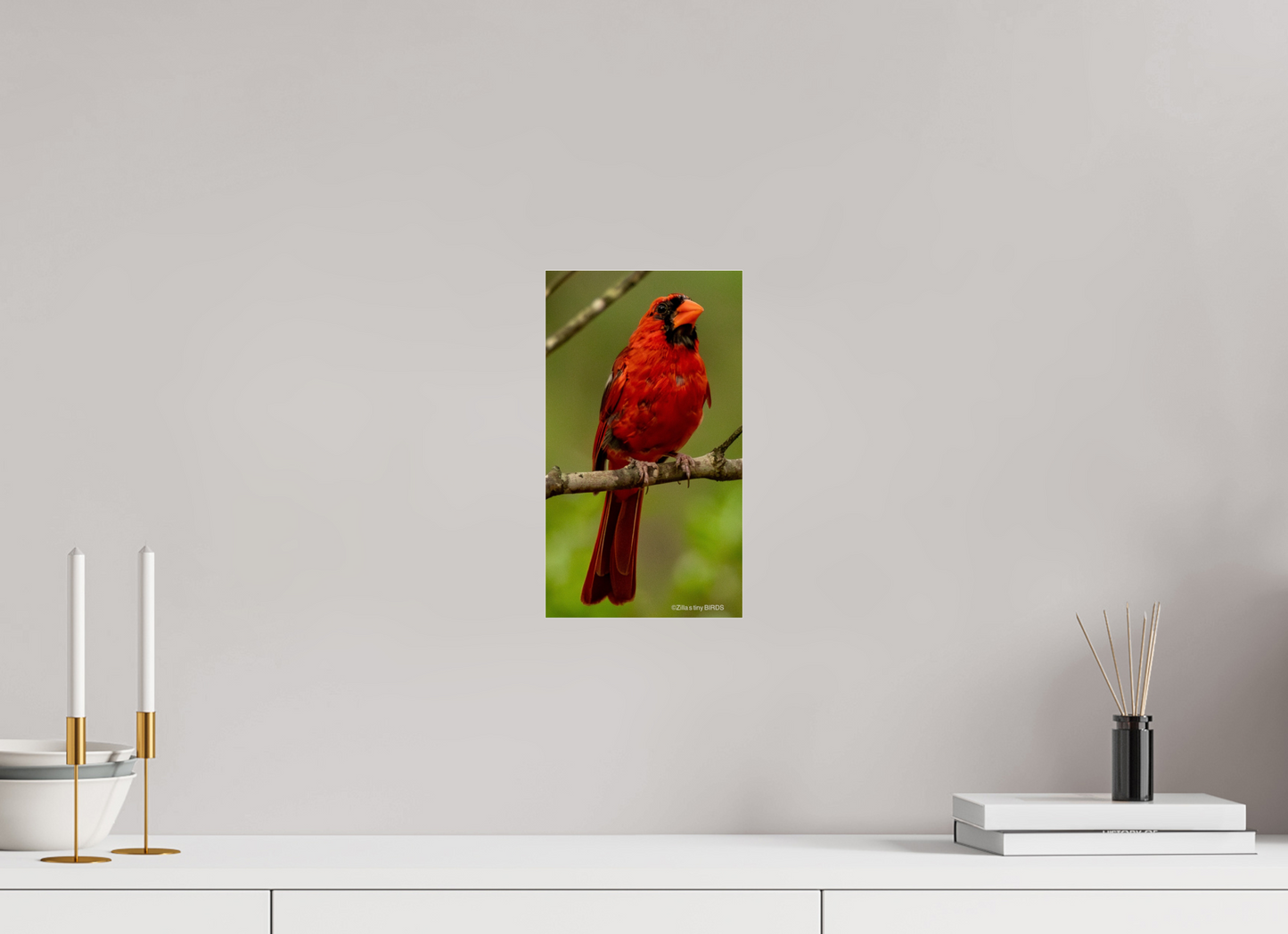 6.8 x 12″, Photo Print Under Acrylic Glass Zillas Zoom Image 397