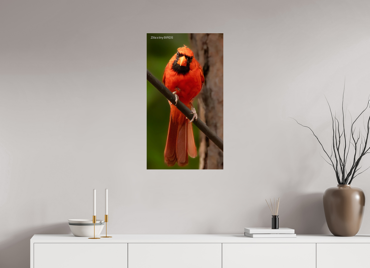 18 x 32″, Photo Print Under Acrylic Glass Zillas Zoom Image 484