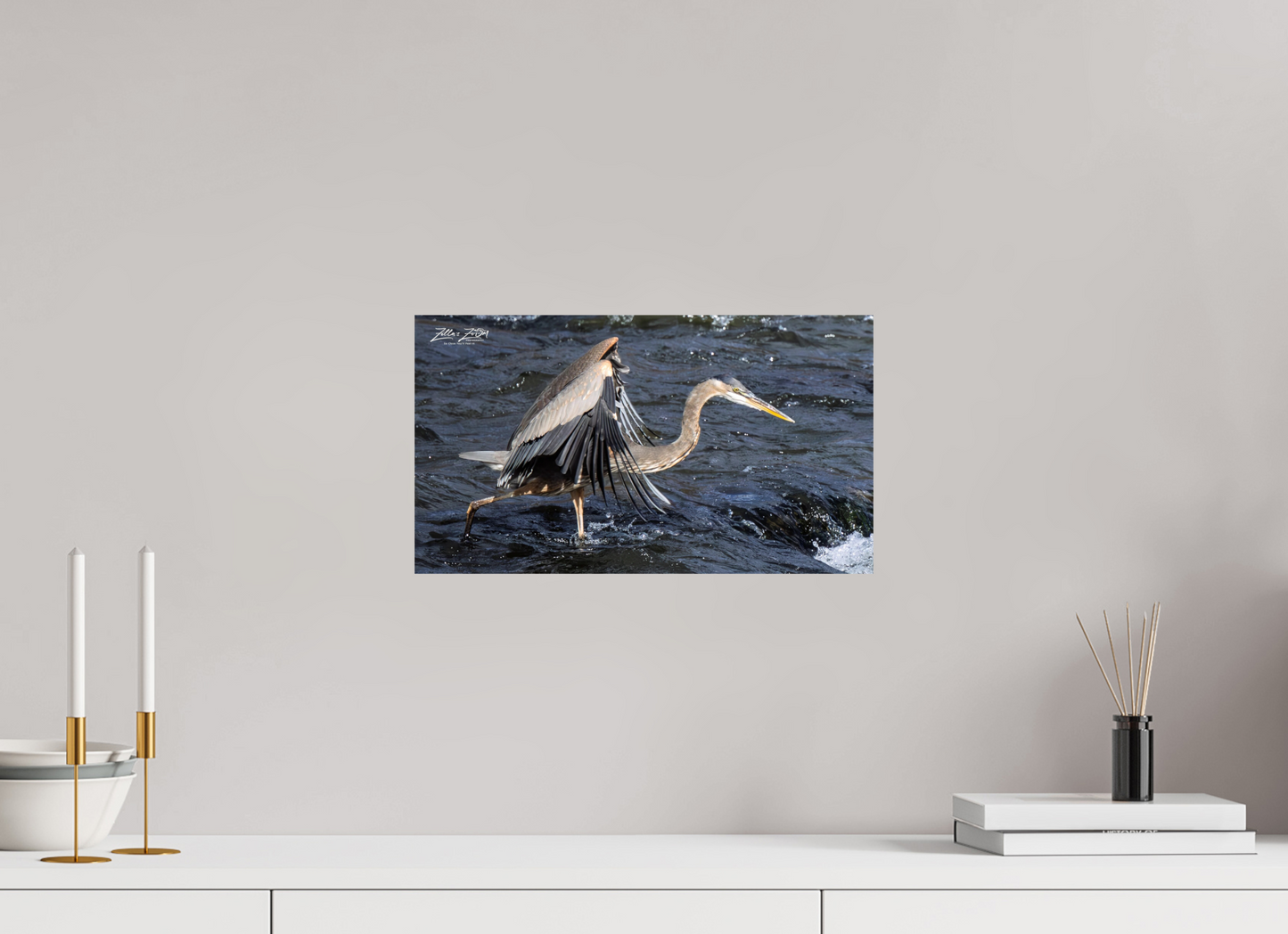 16 x 9″, Photo Print On Fuji Crystal DP II Zillas Zoom Image 284