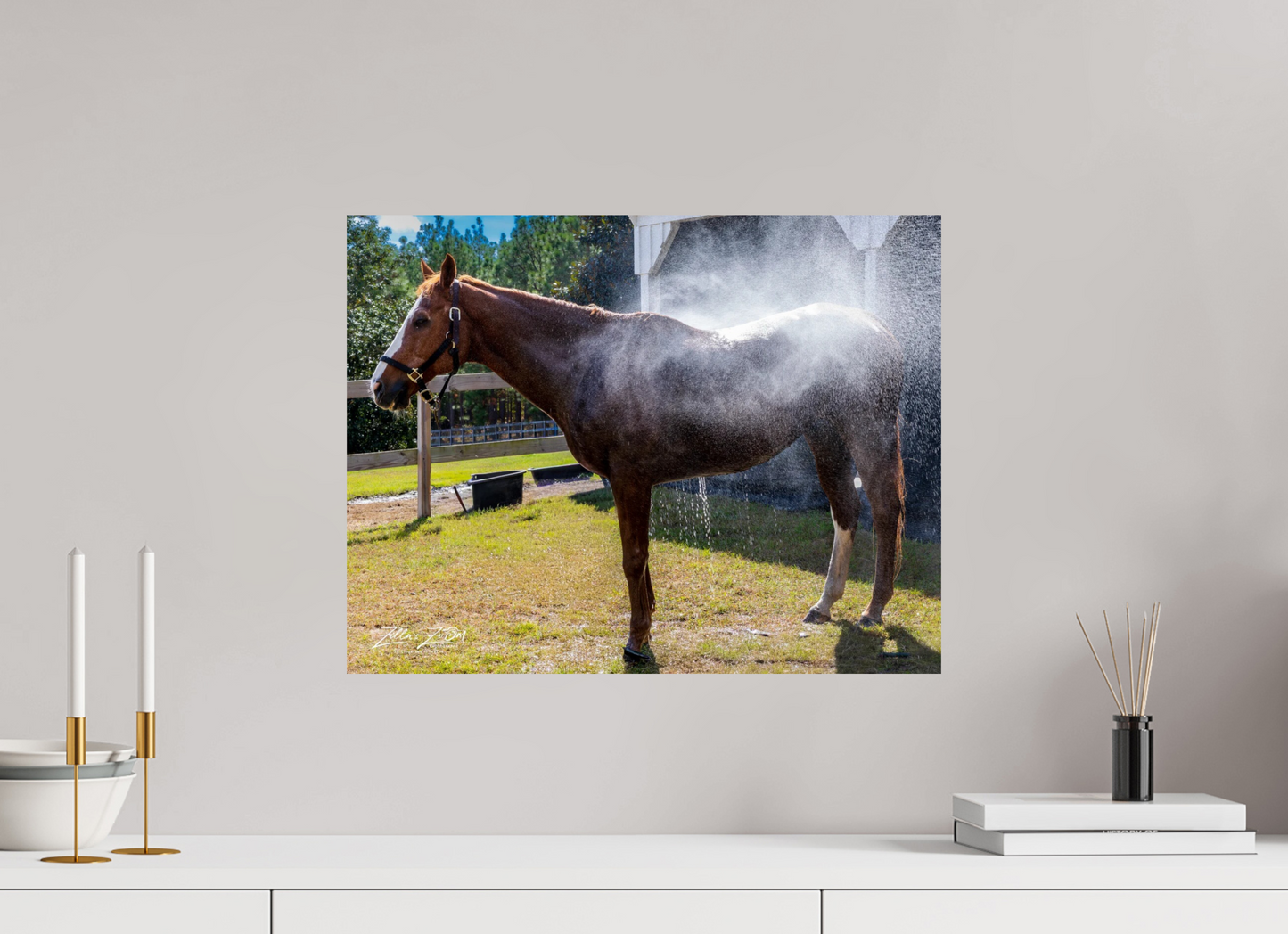 20.7 x 16″, Photo Print On Fuji Crystal DP II Zillas zoom image 145