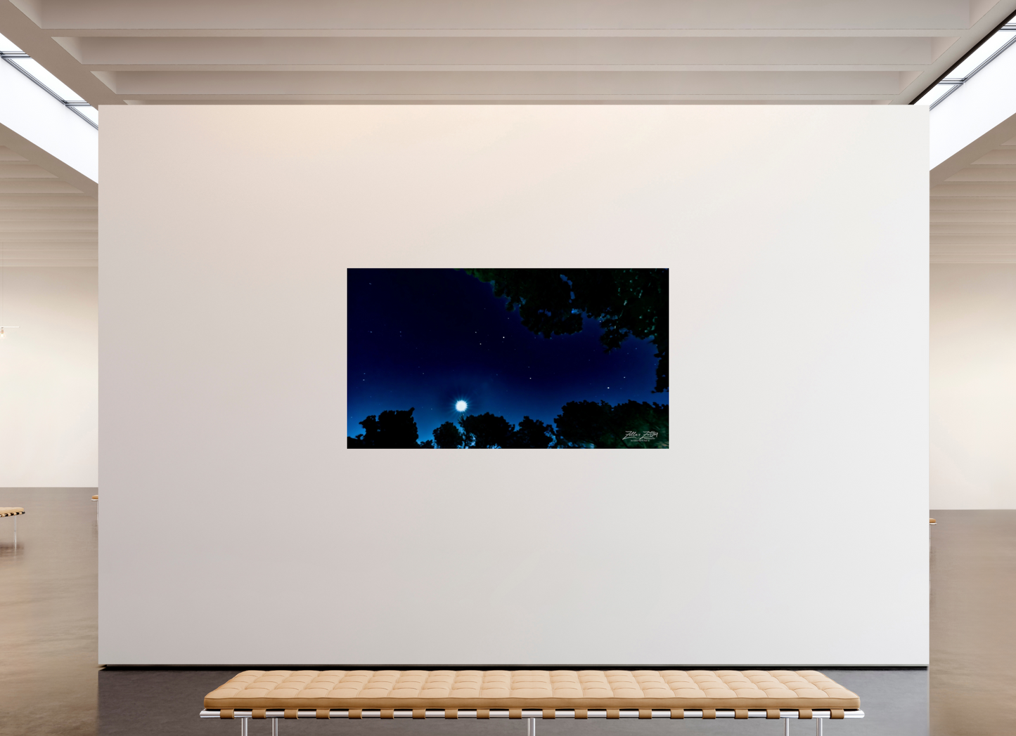 80 x 45″, Photo Print Under Acrylic Glass Zillas zoom image 119