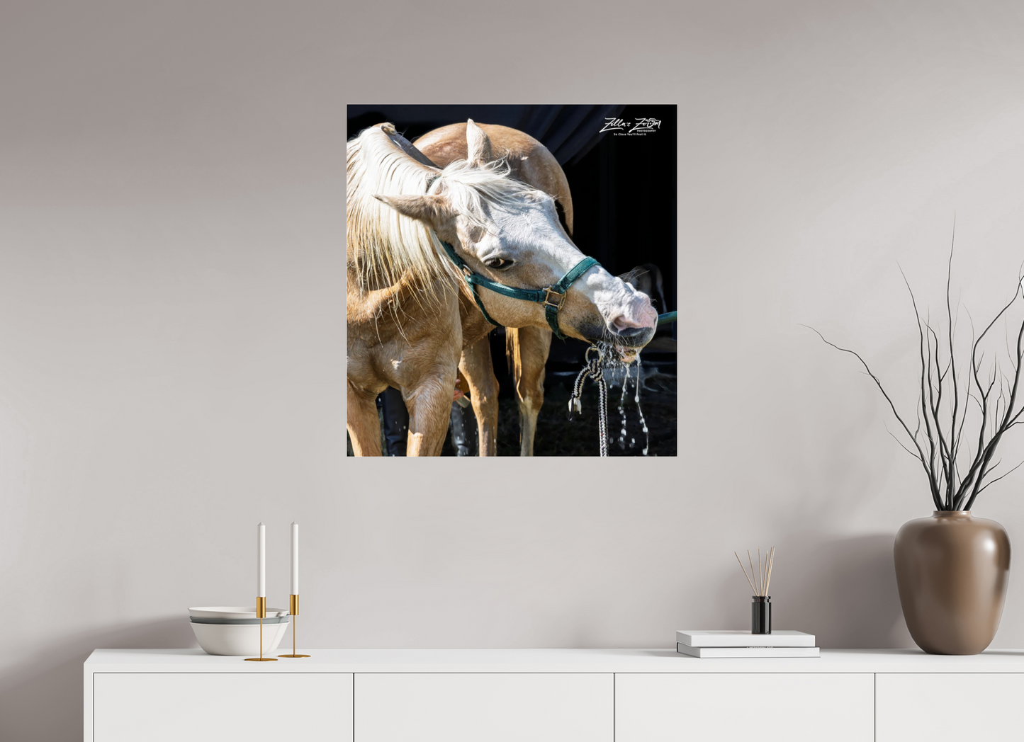 28 x 29.9″, Photo Print Under Acrylic Glass Zillas zoom image 148